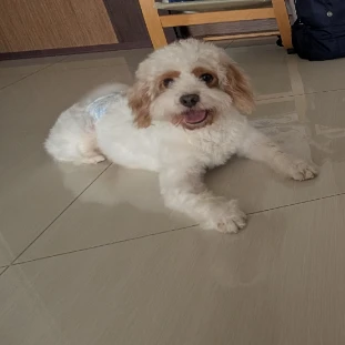 Danny