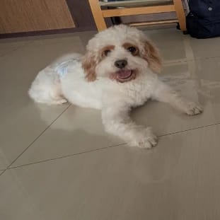 Danny