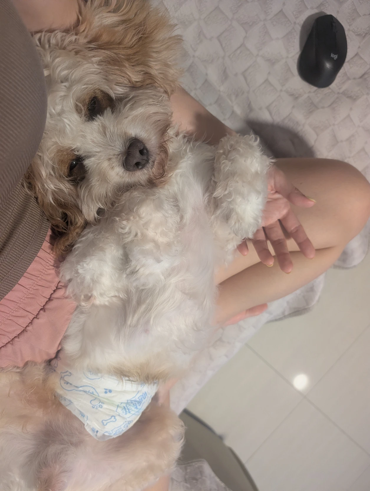 image-10