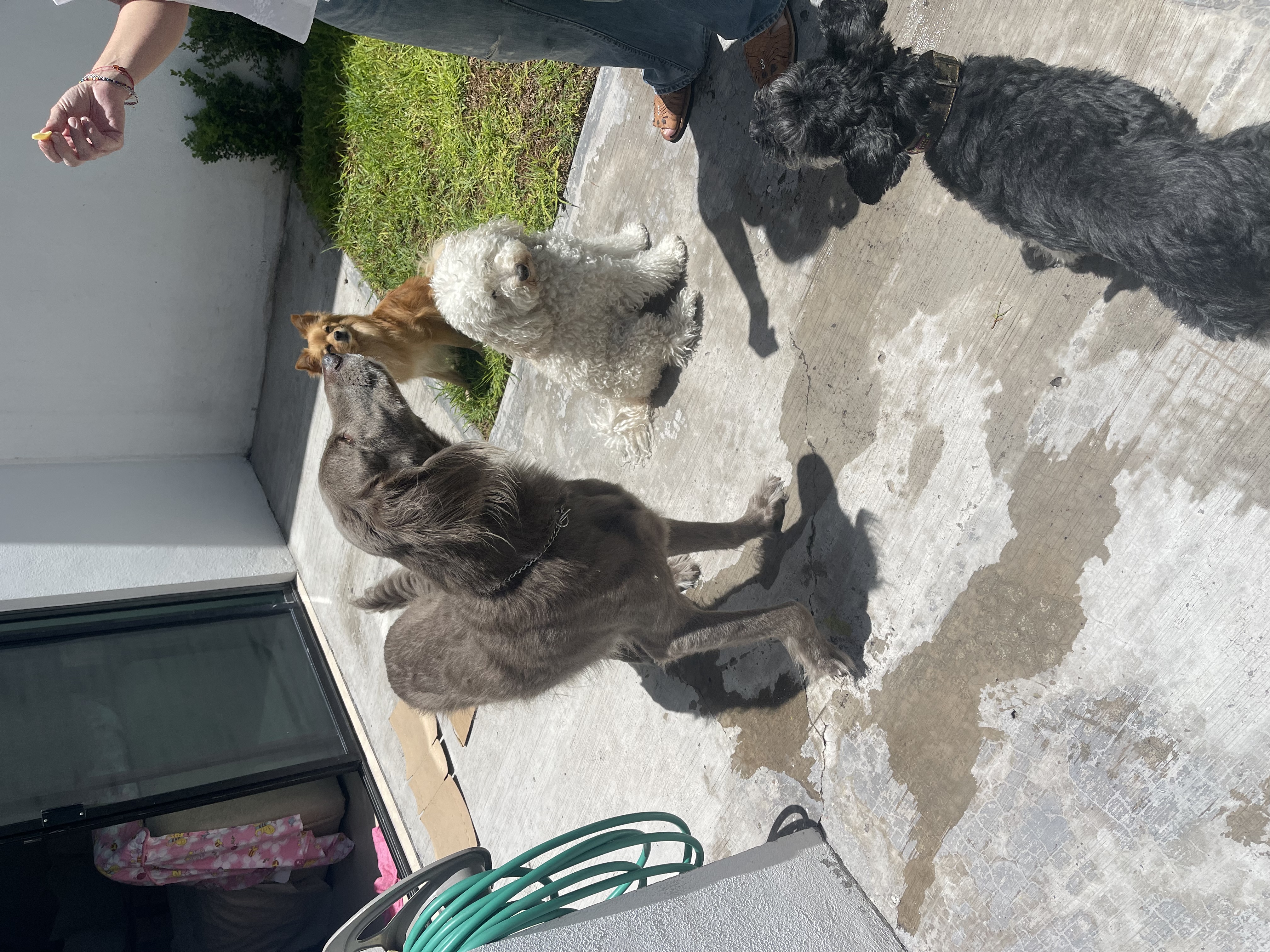 image-6