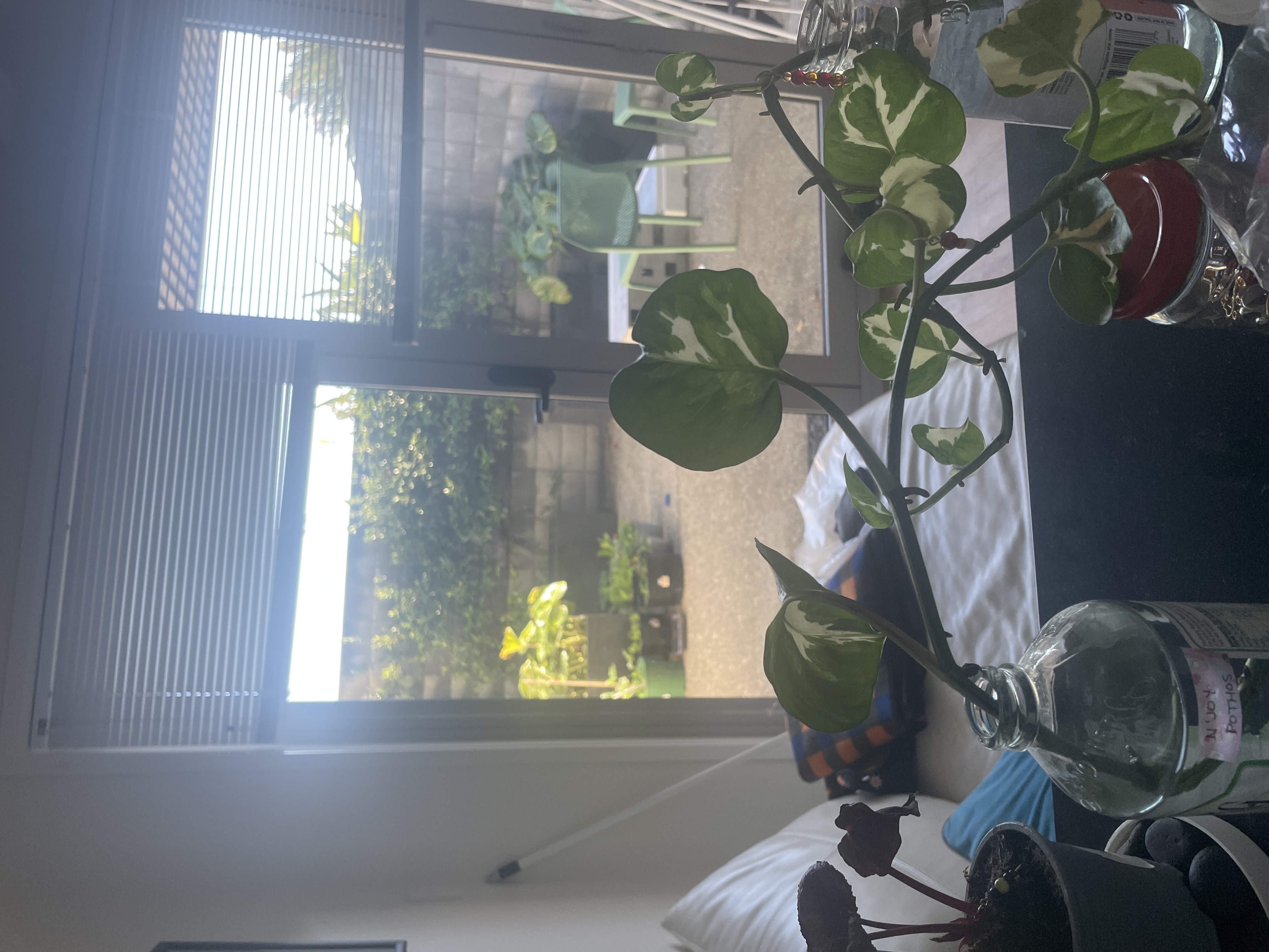 image-15
