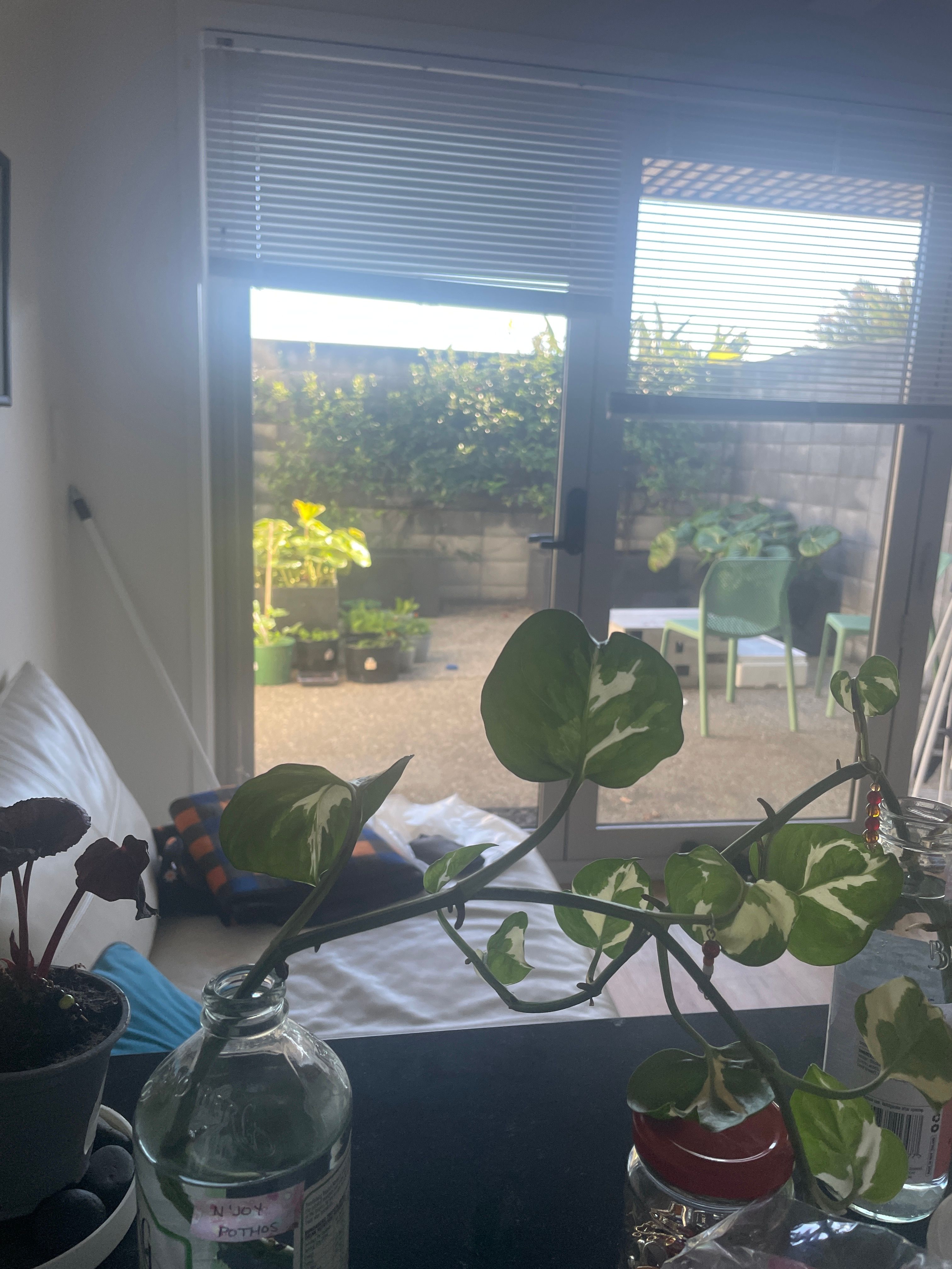 image-15