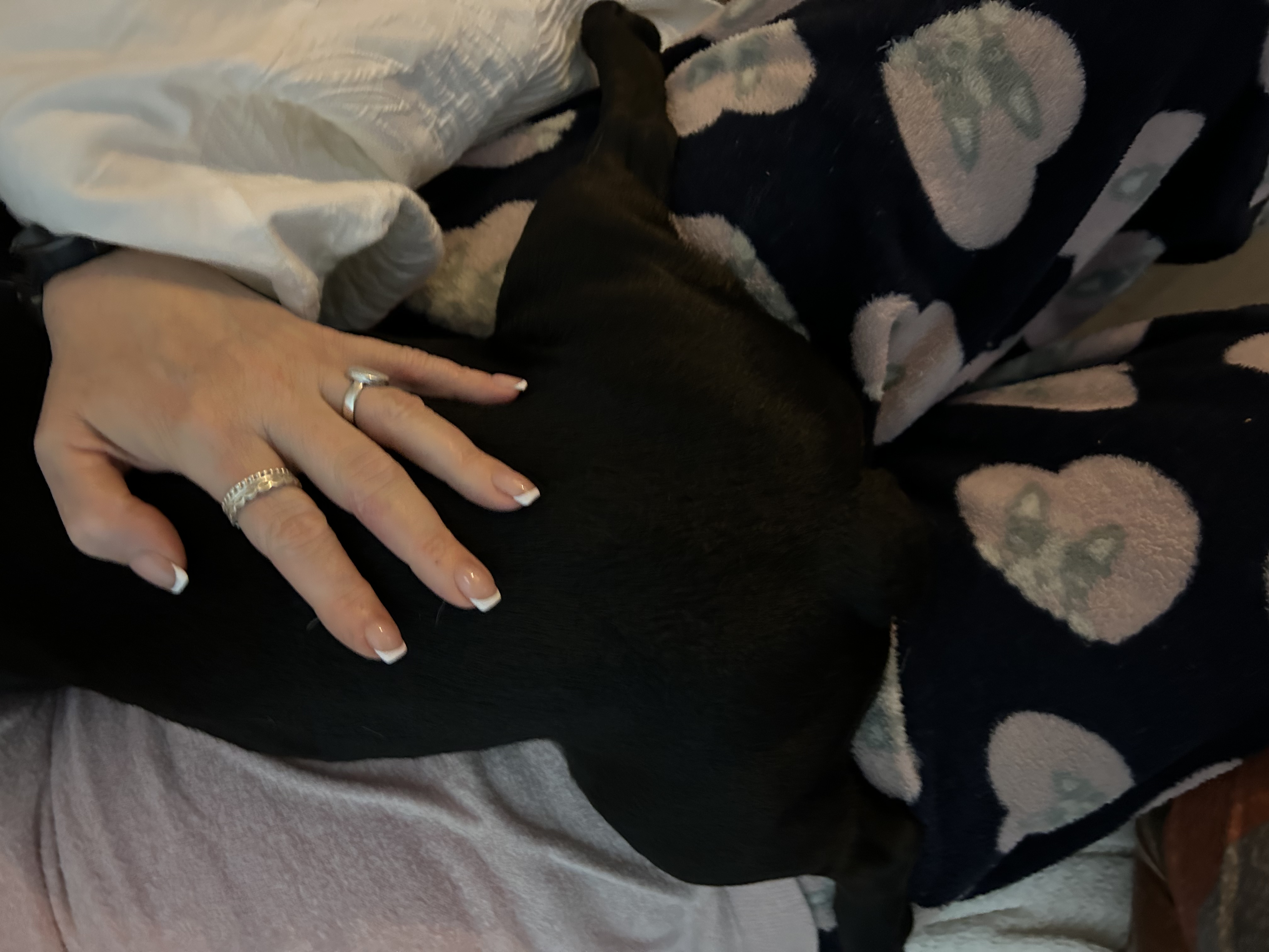 image-7