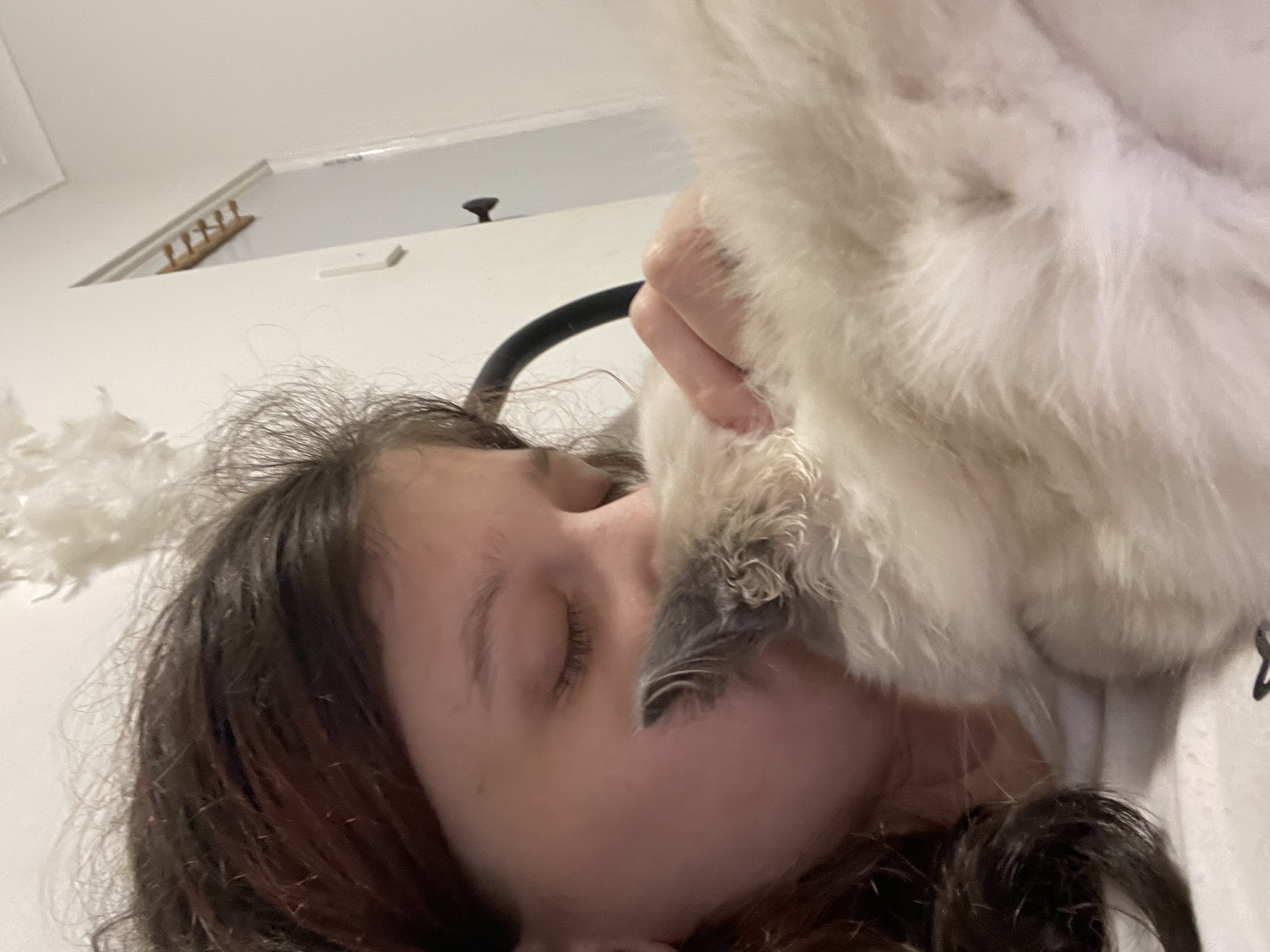 image-6