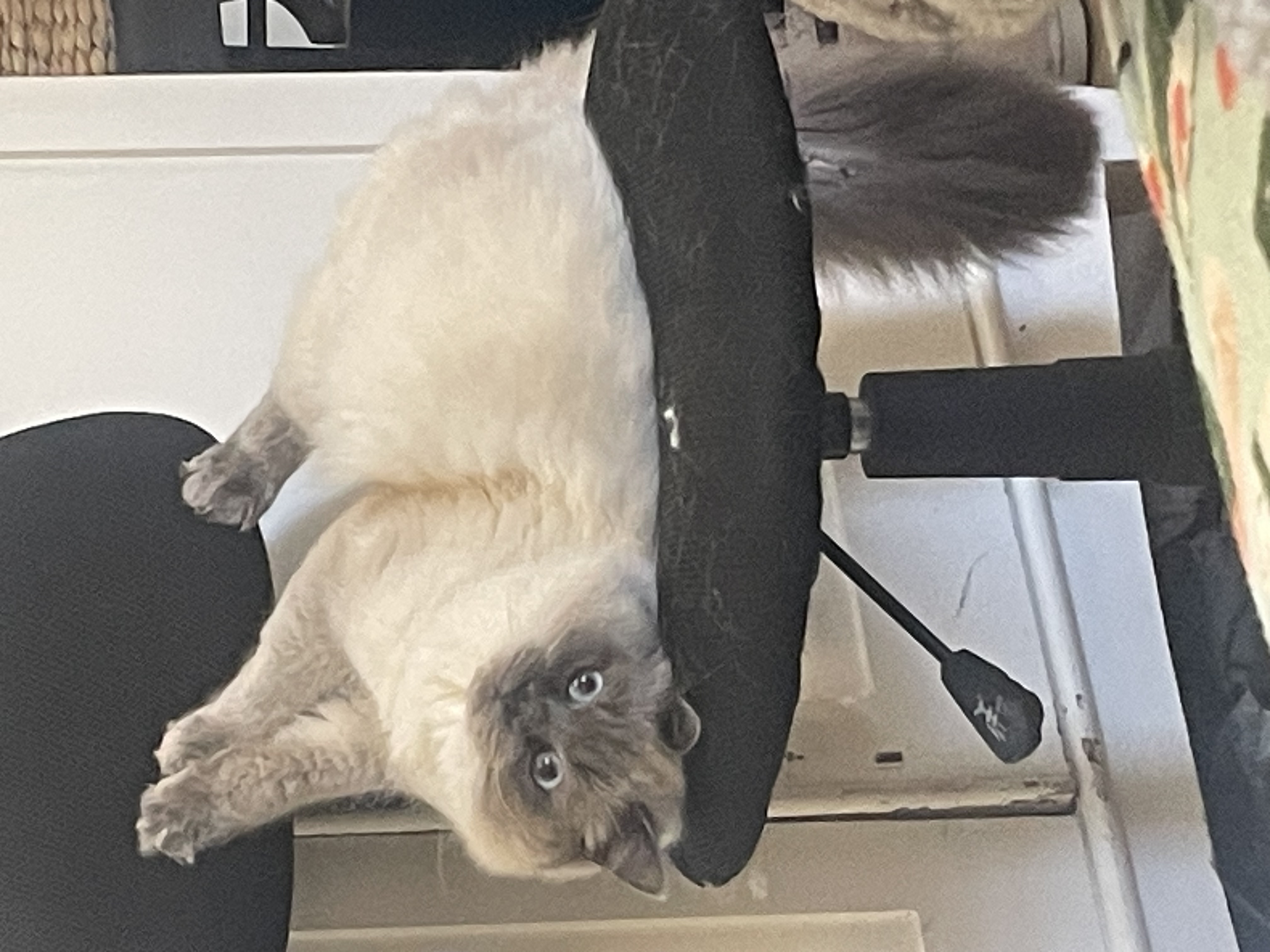 image-12
