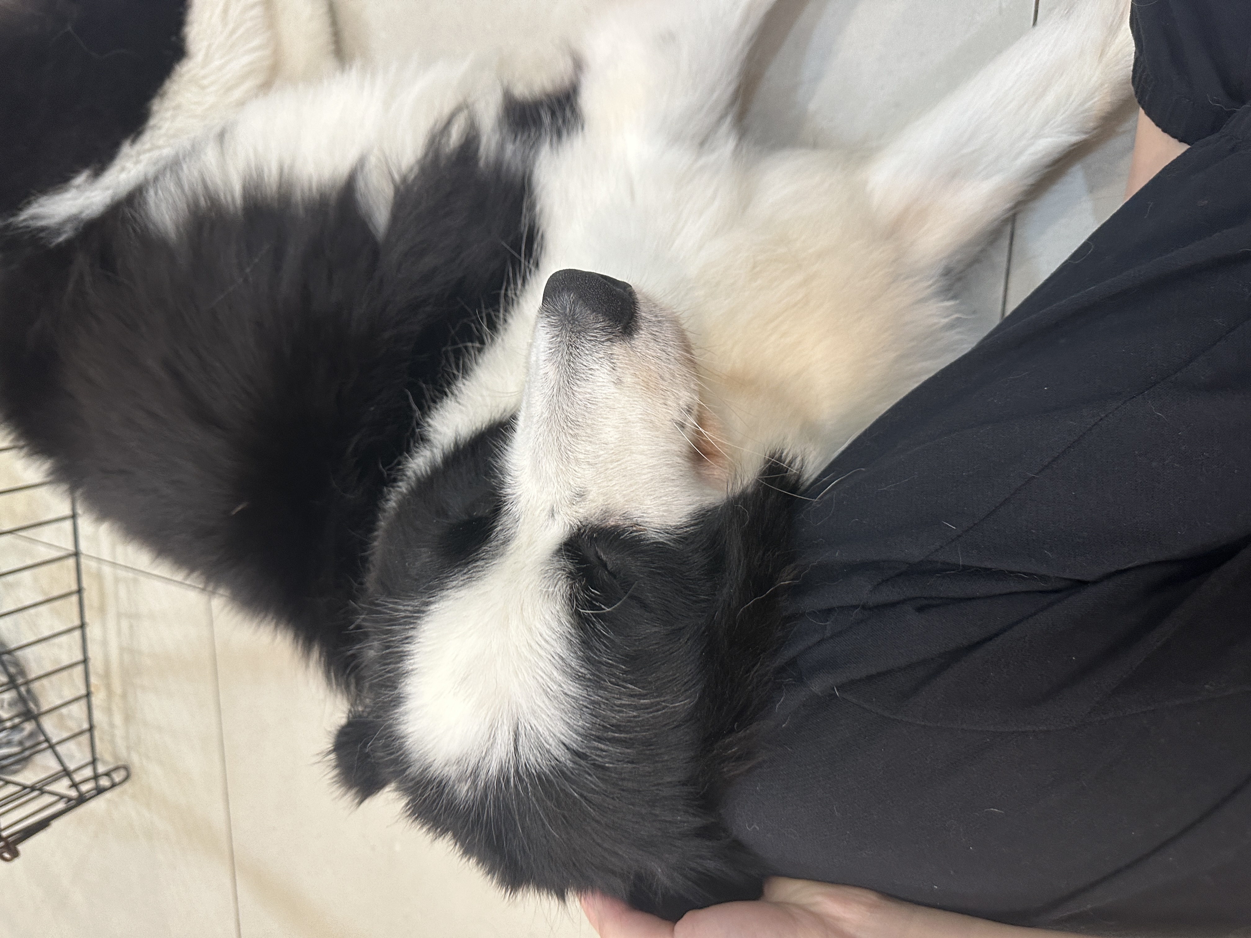 image-6