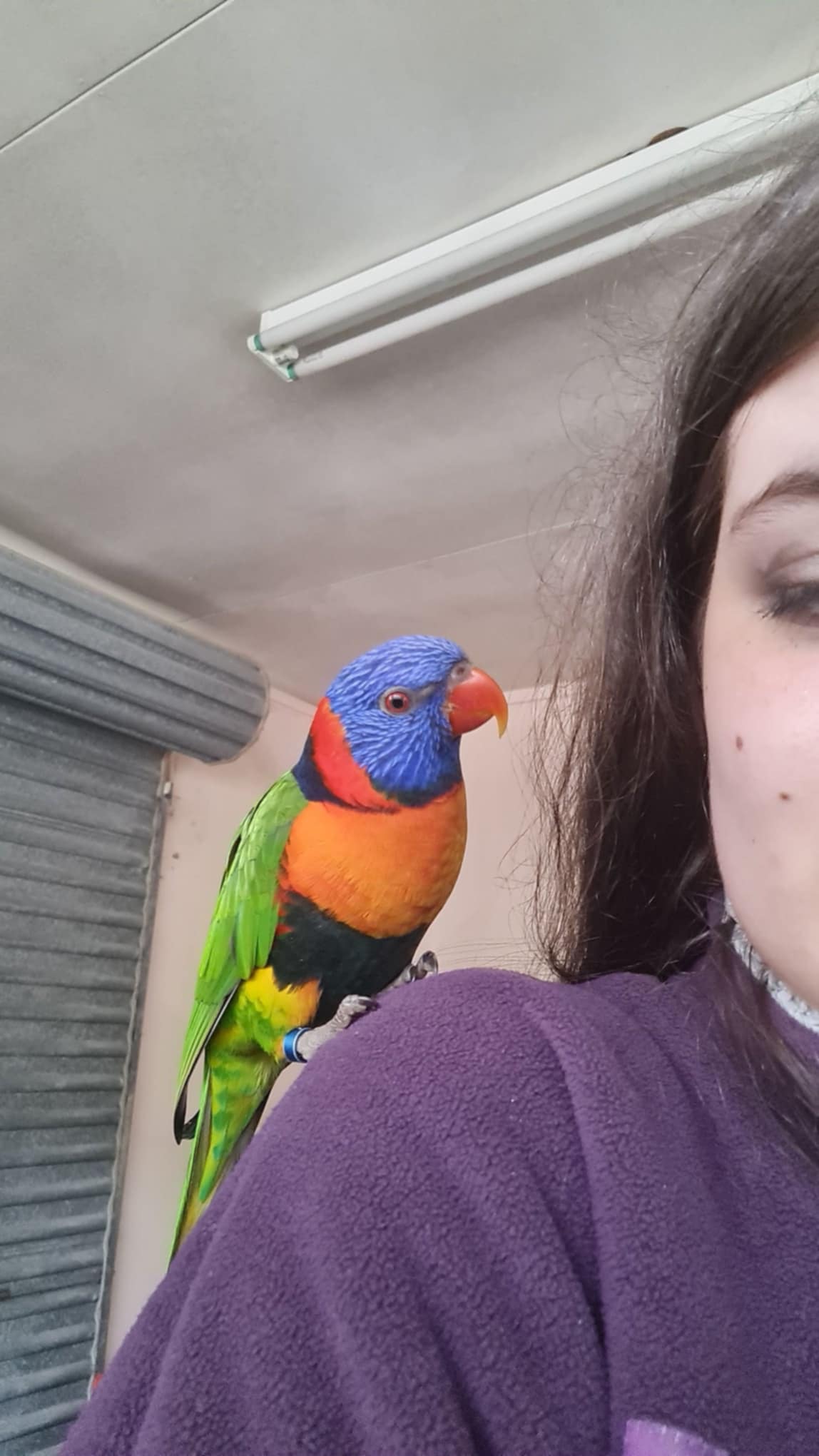 image-14