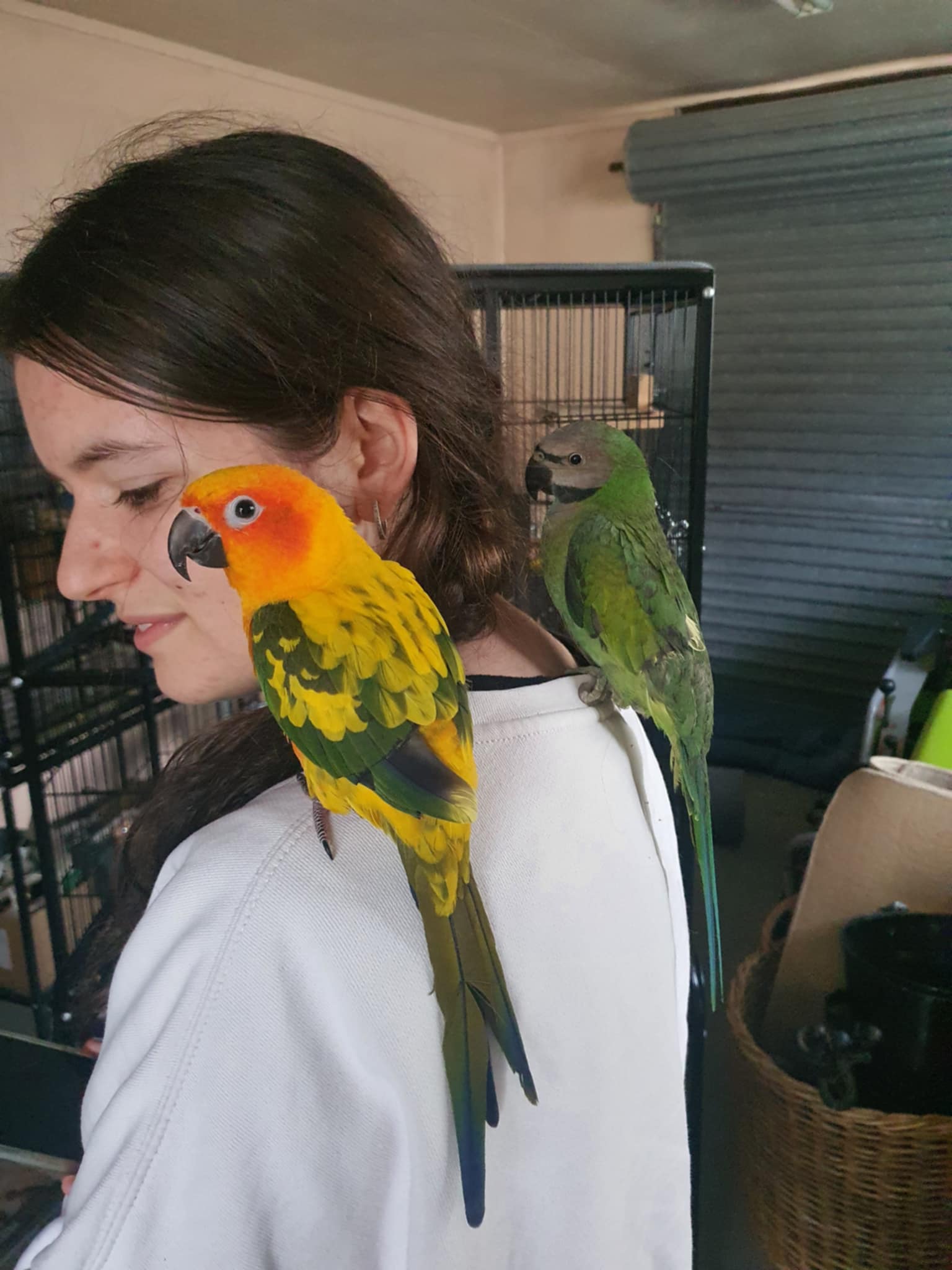image-13