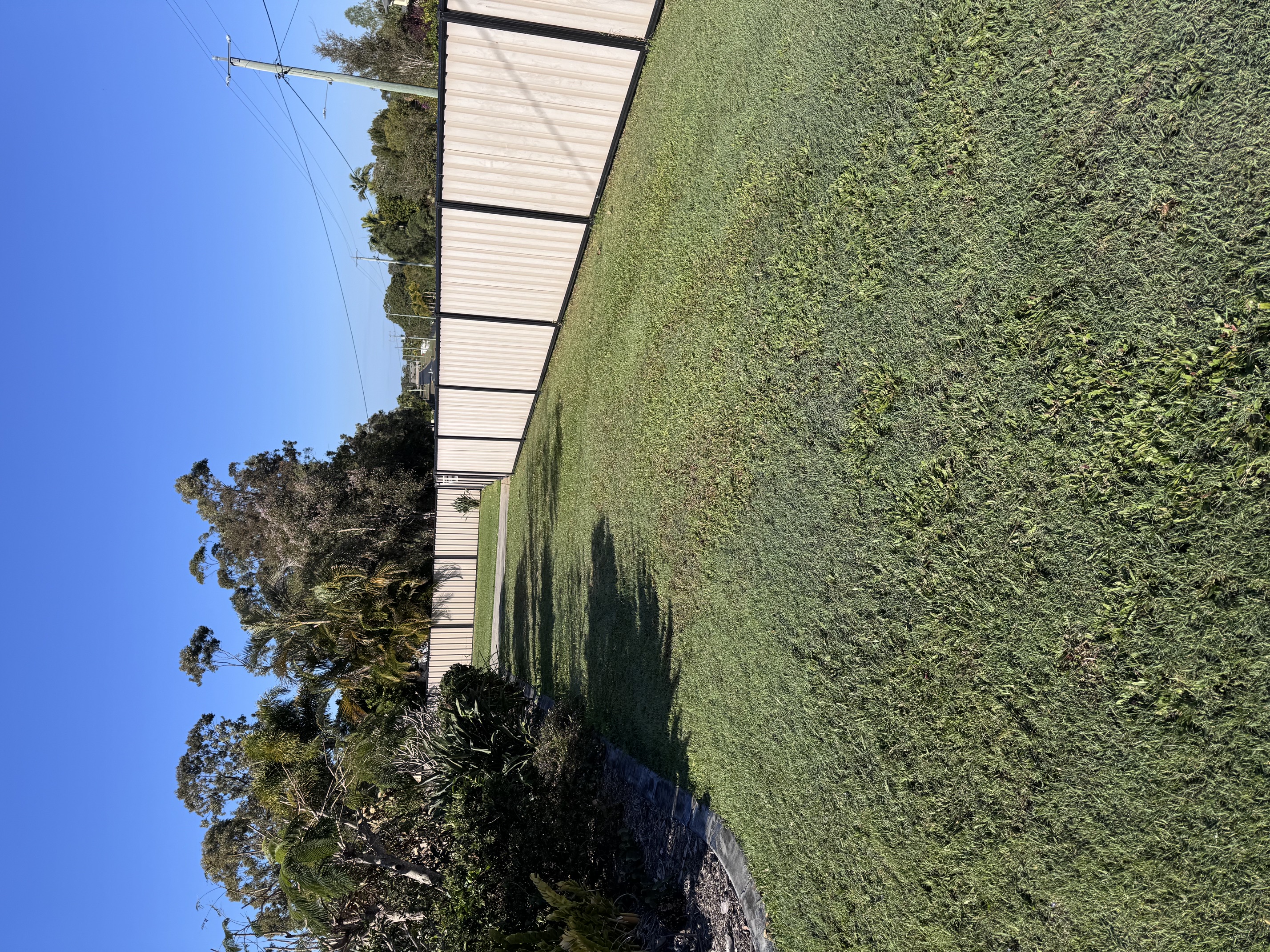 image-19