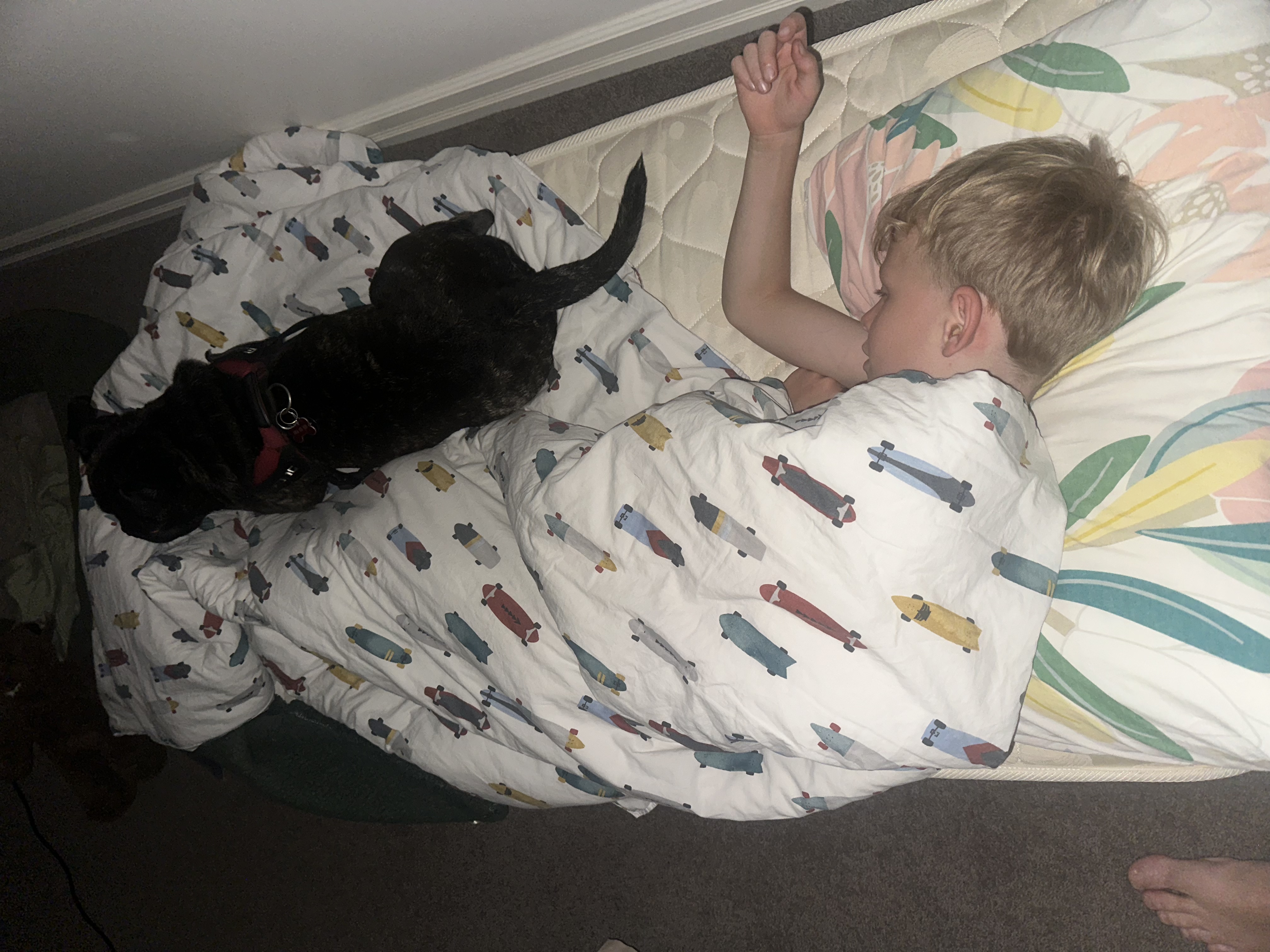 image-11