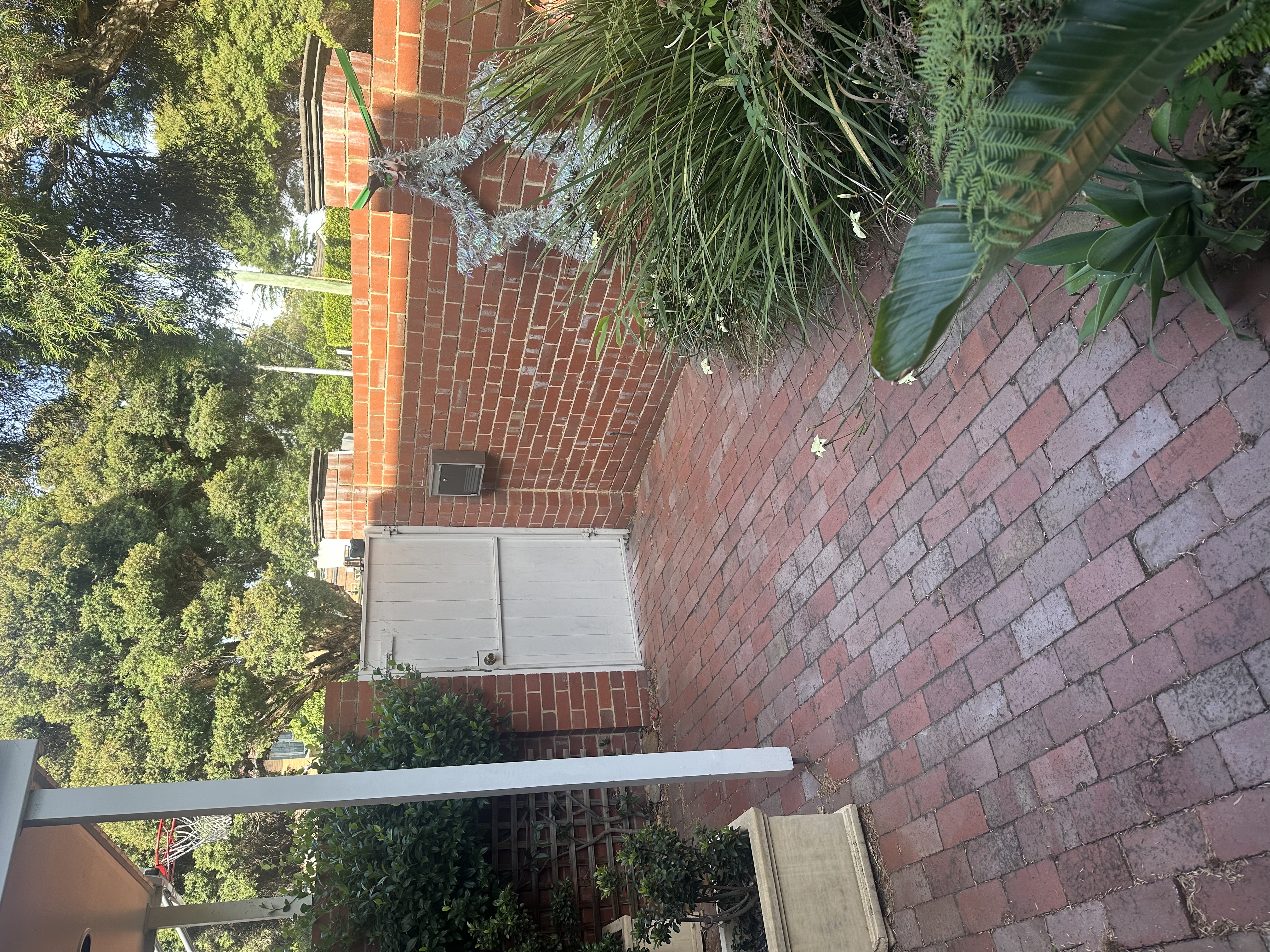 image-23