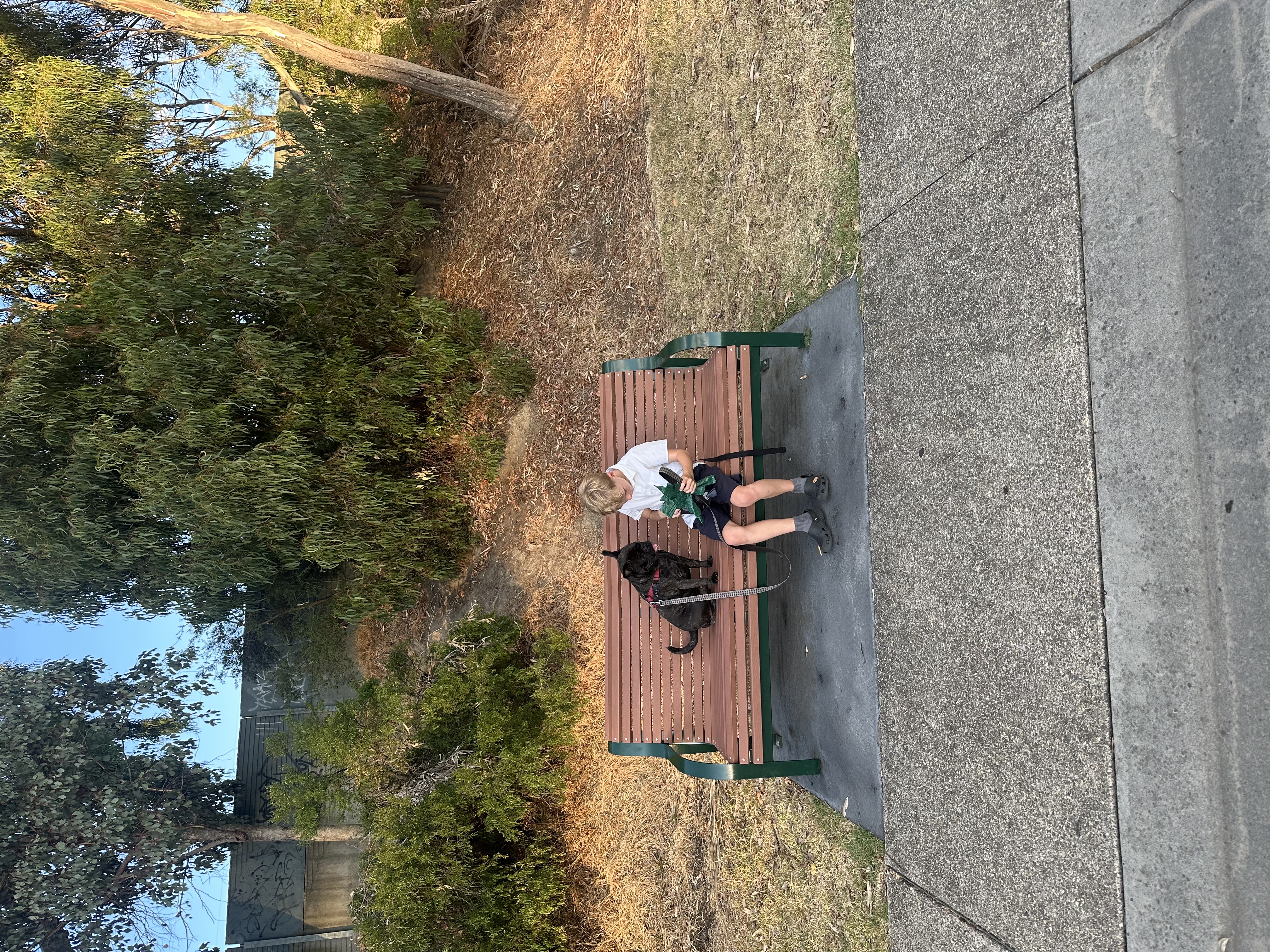 image-8