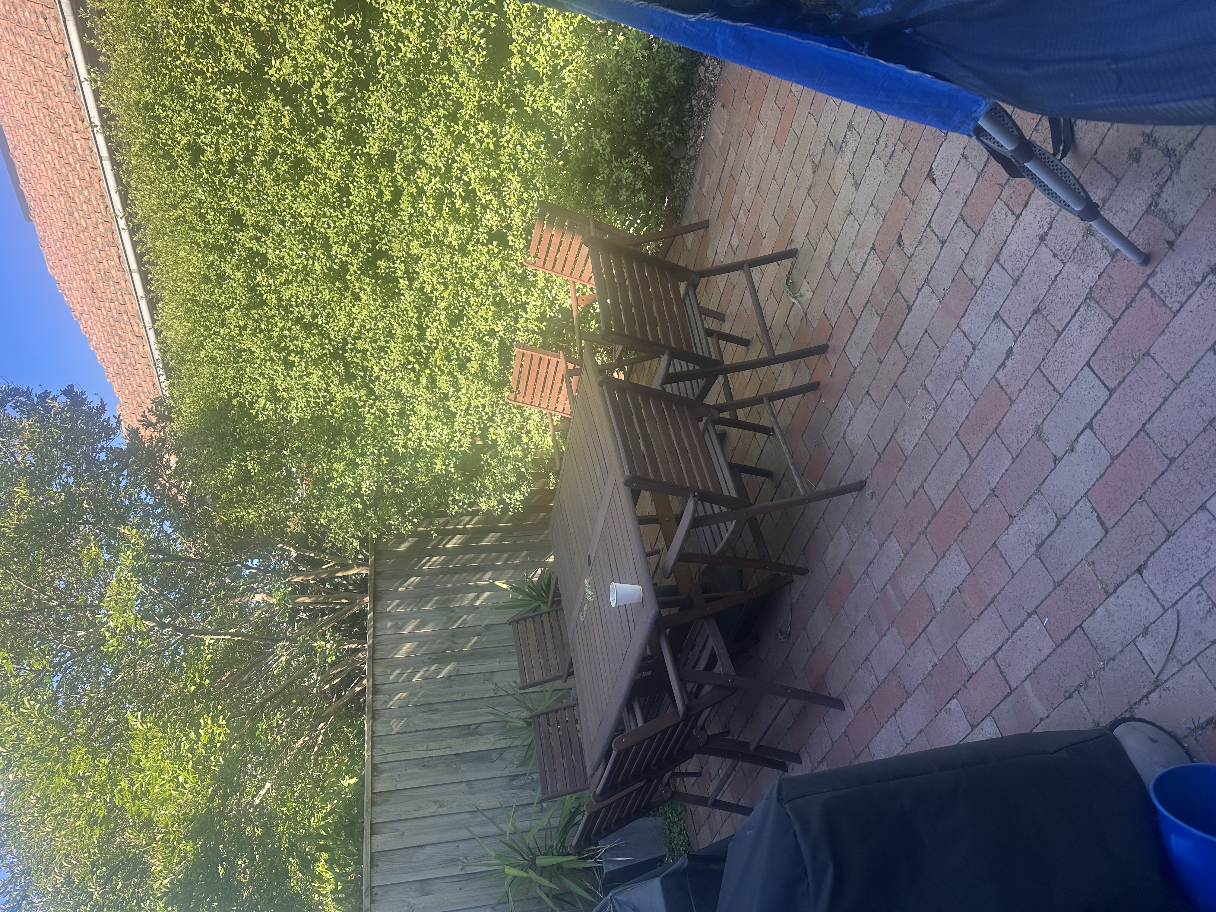 image-18