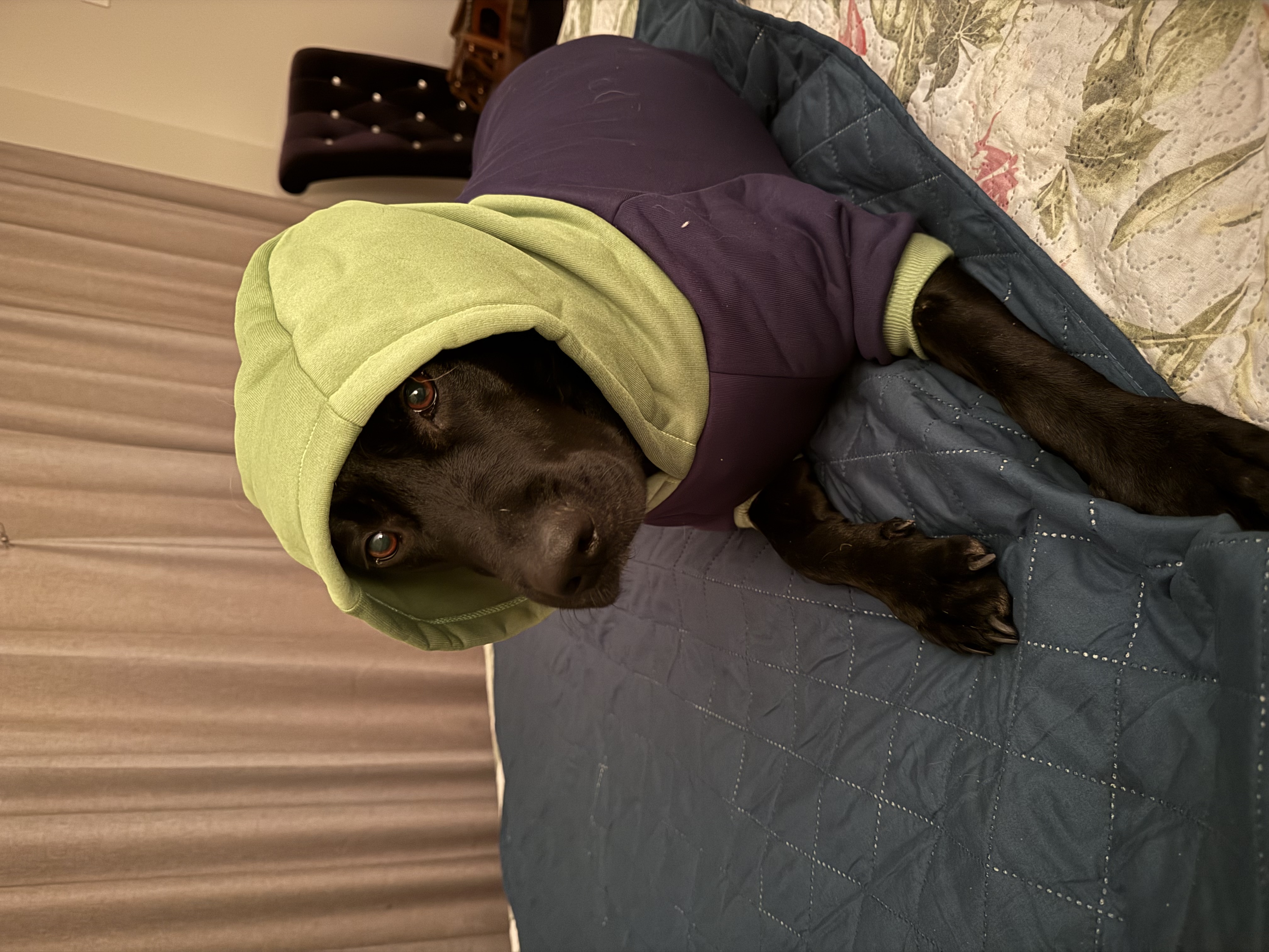 image-16