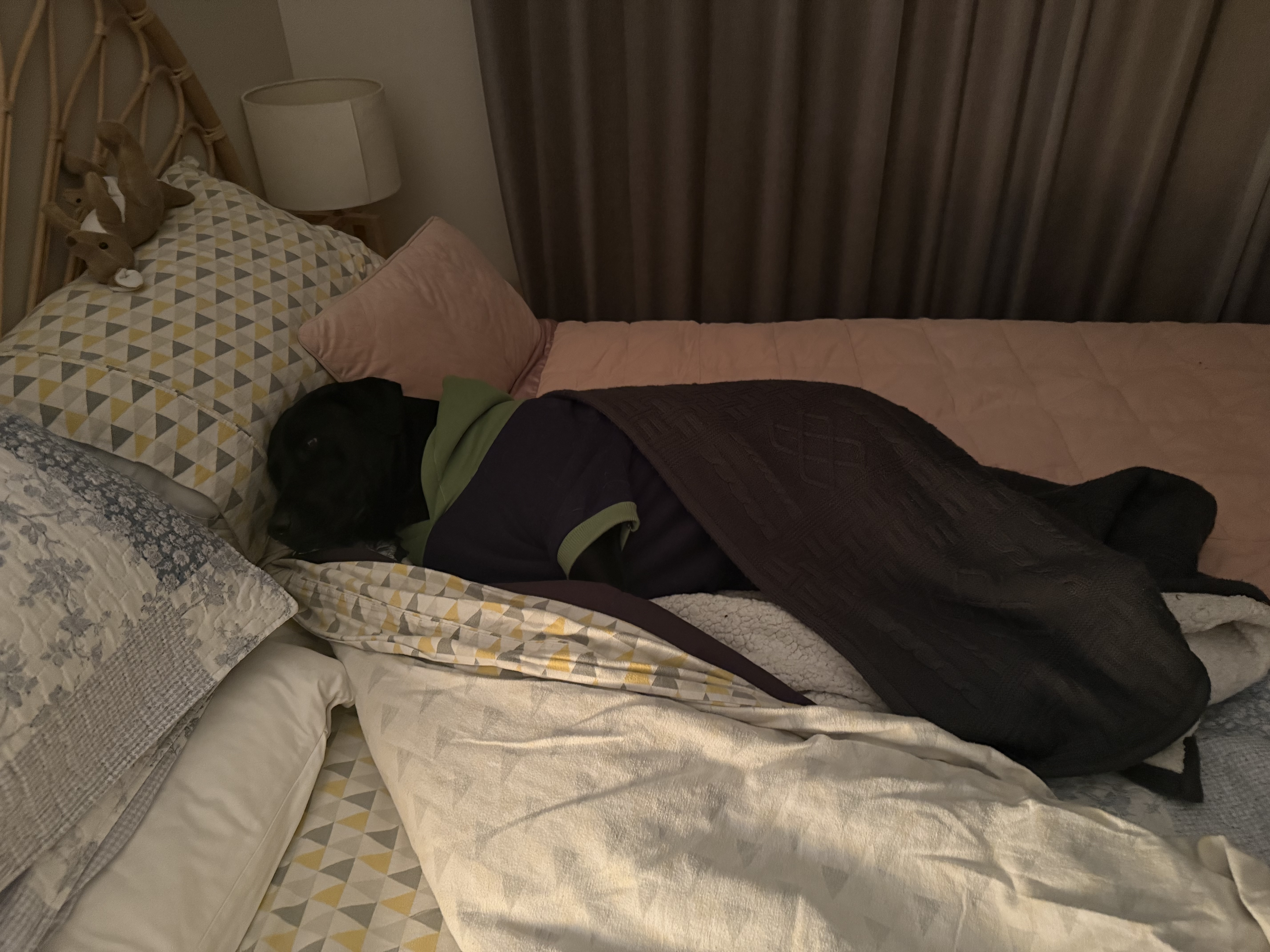 image-4
