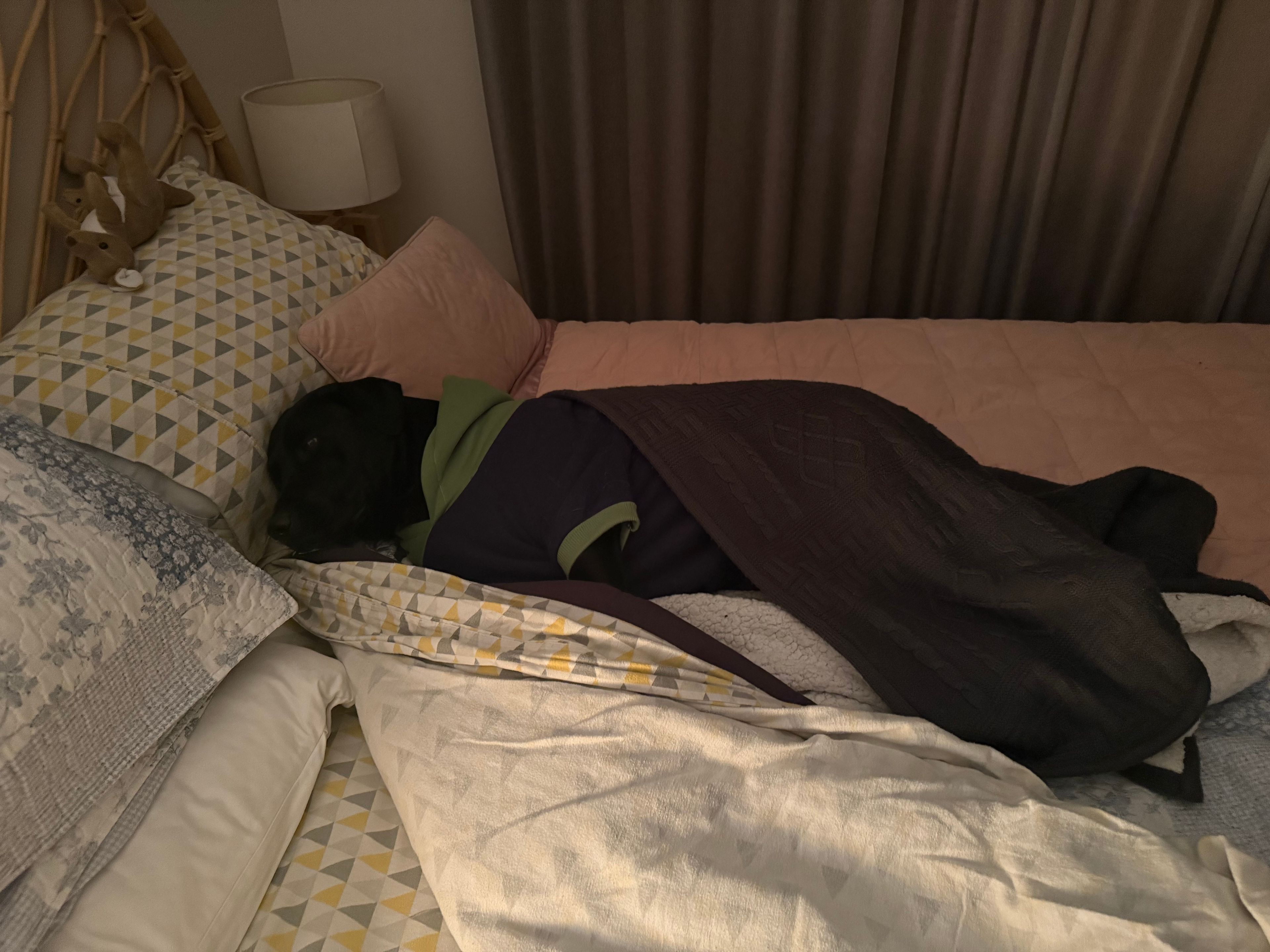 image-4