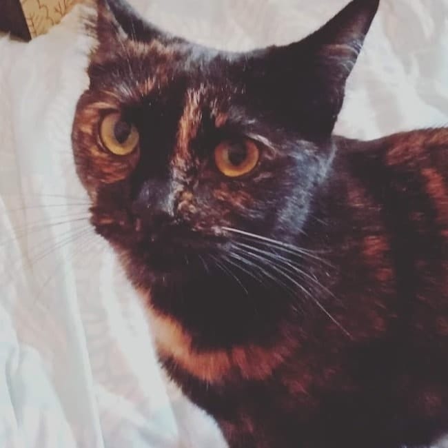 Esme