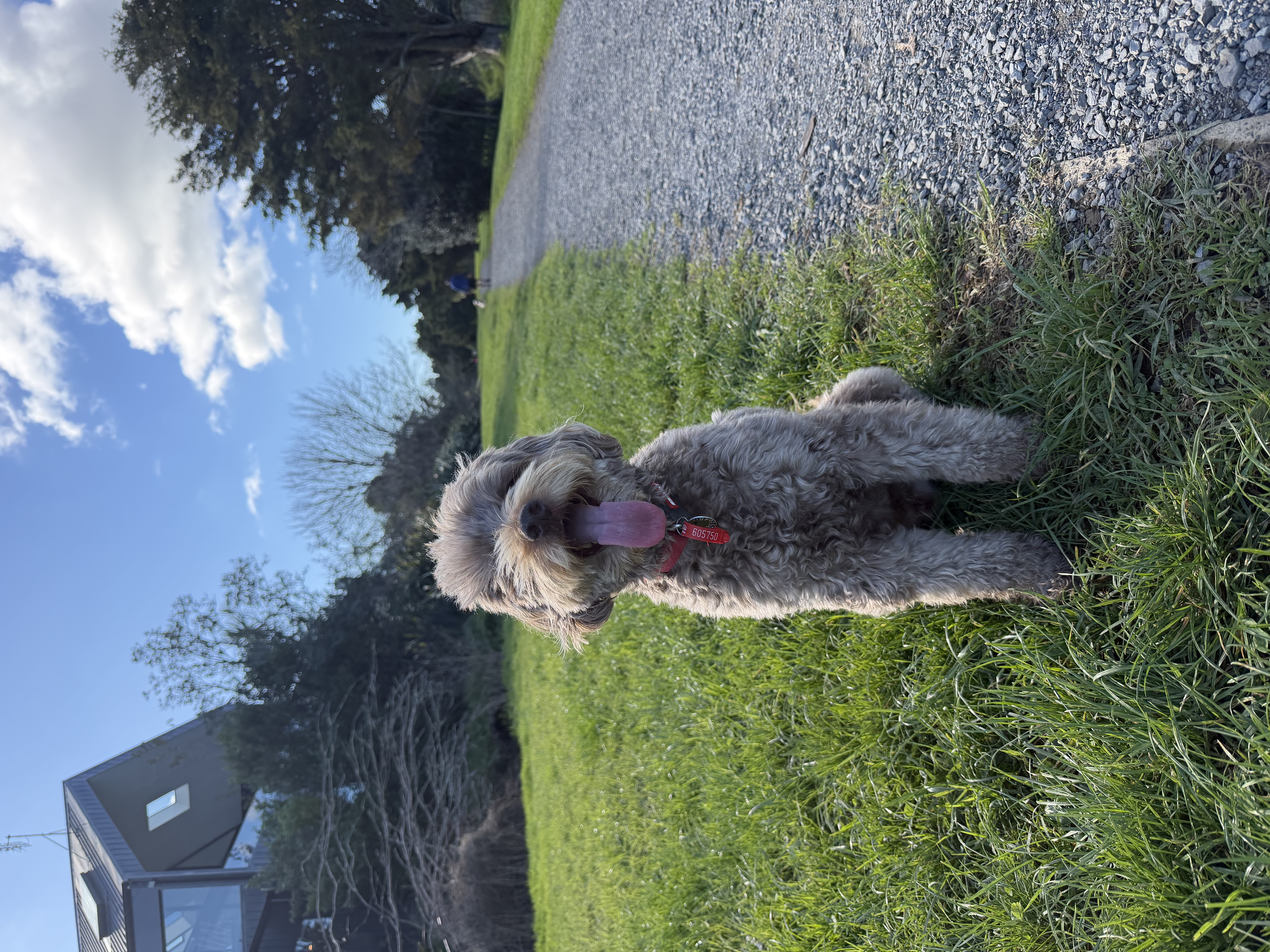 image-6