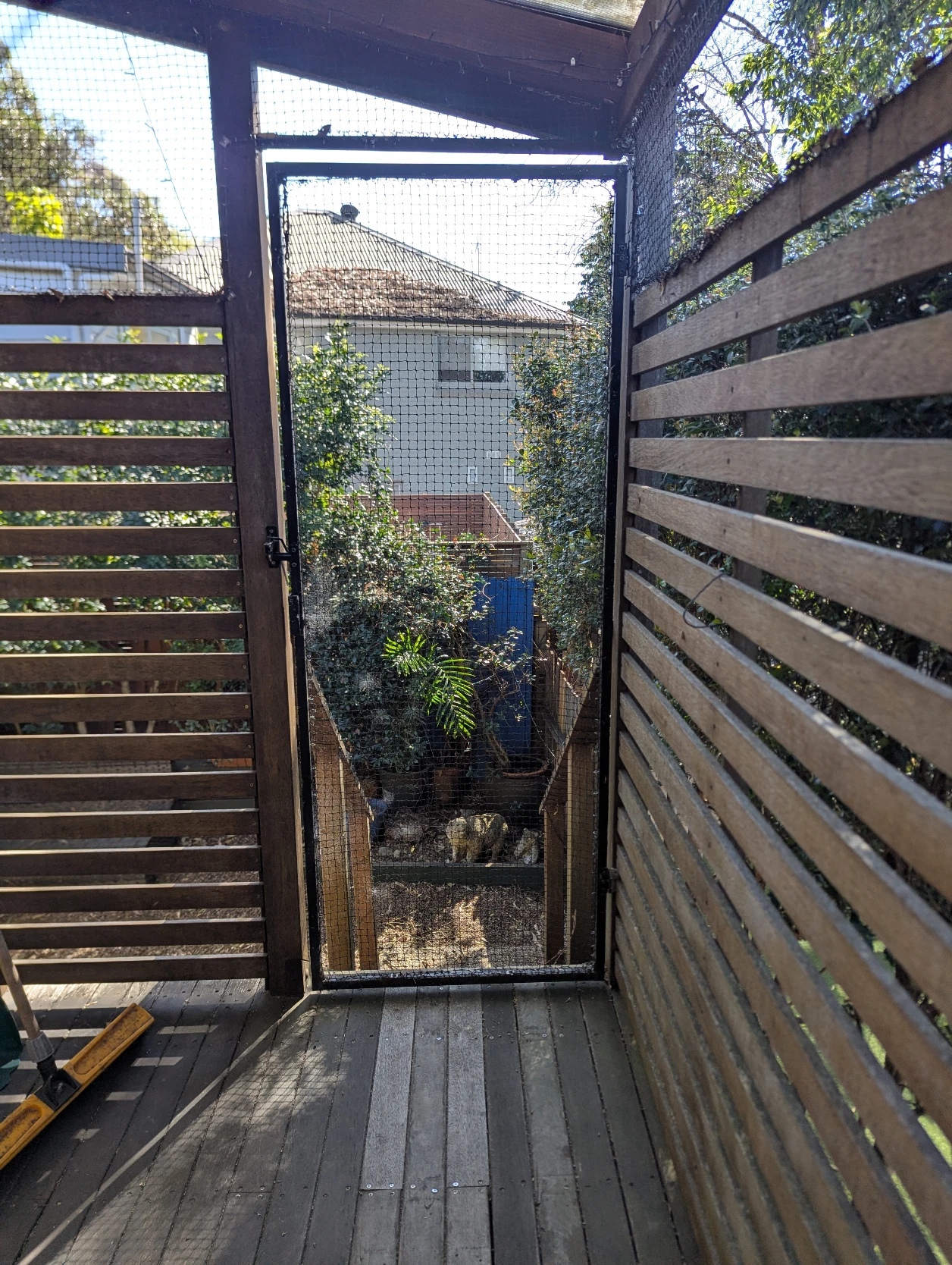 image-16