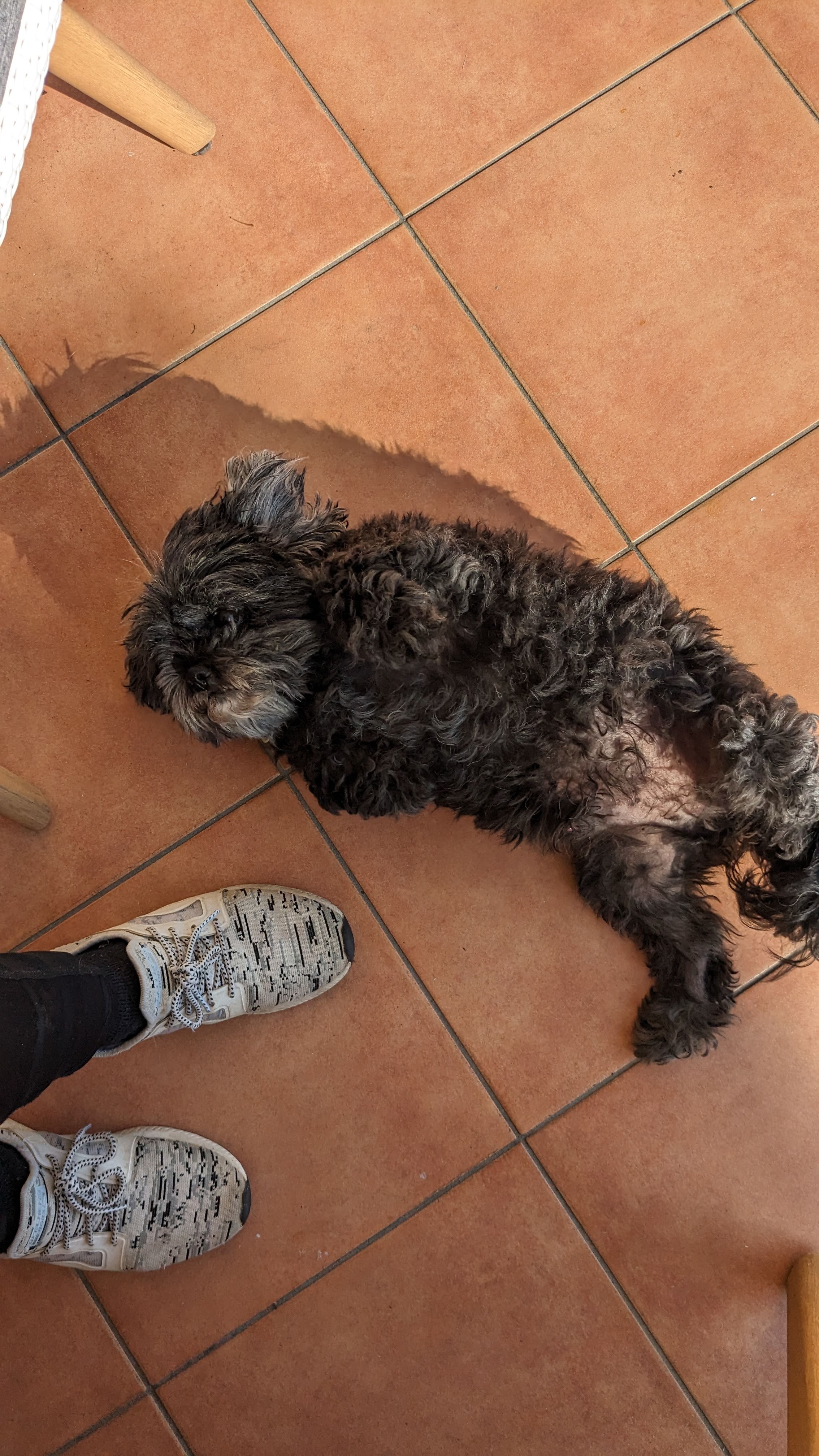 image-7