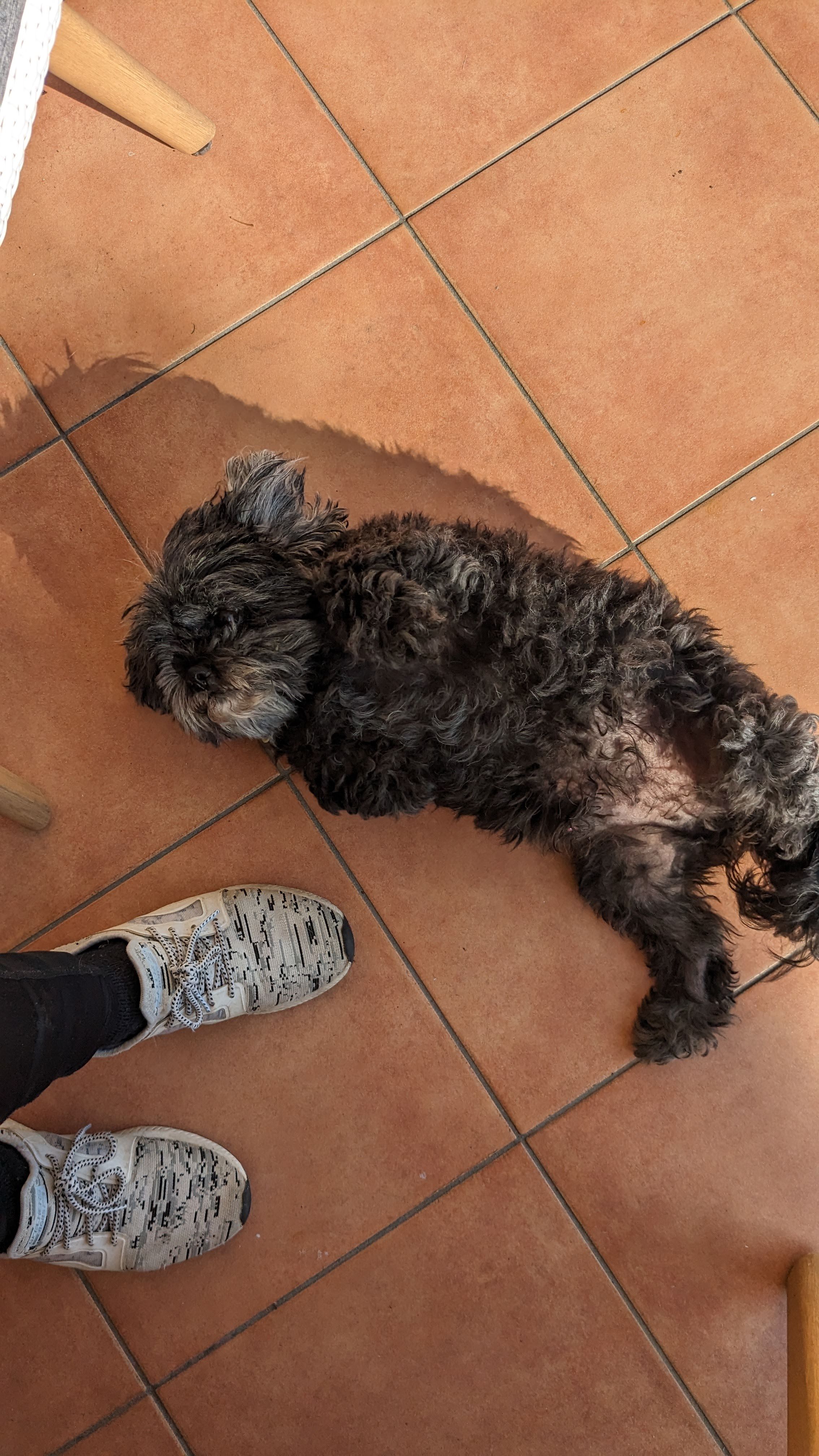 image-7