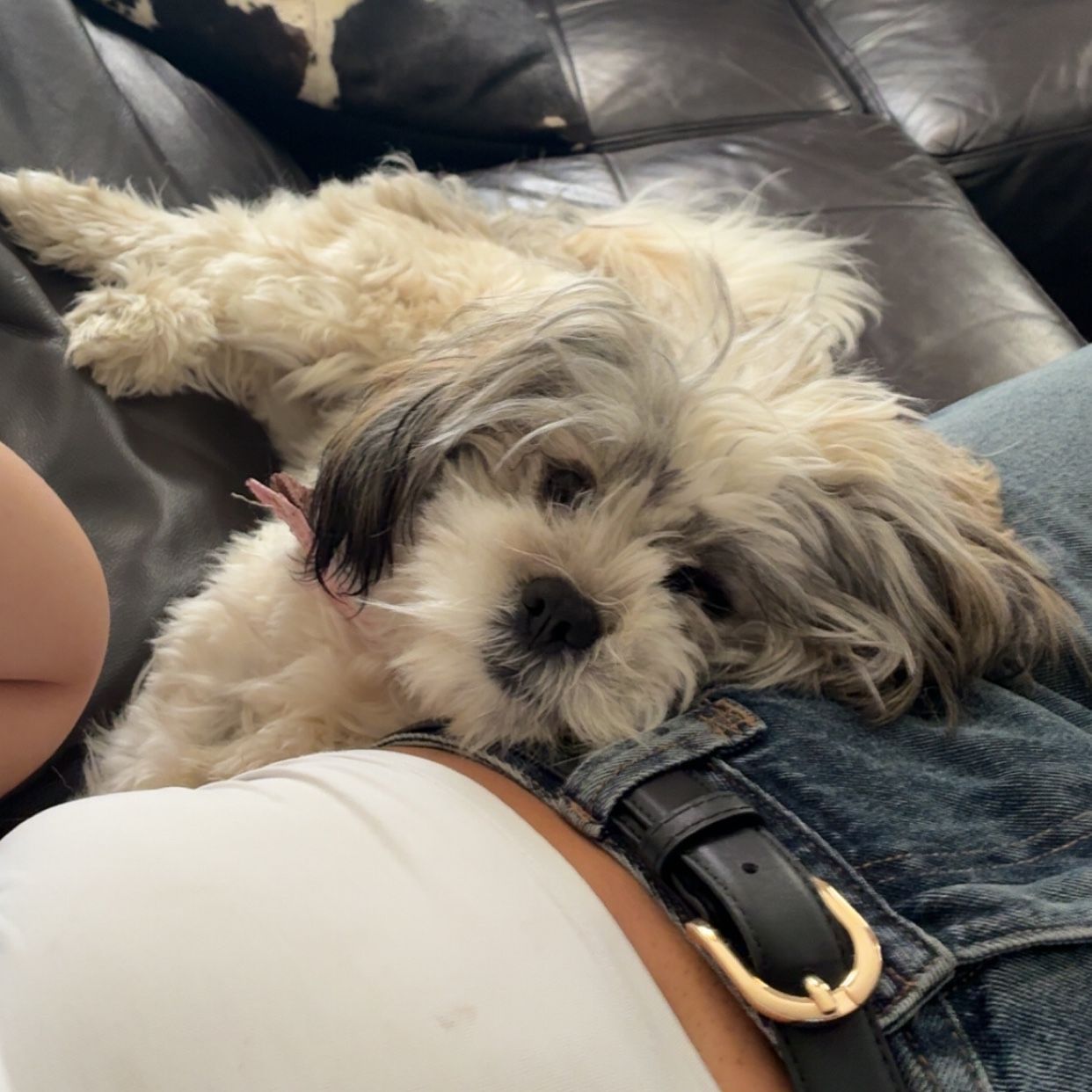 Mimi