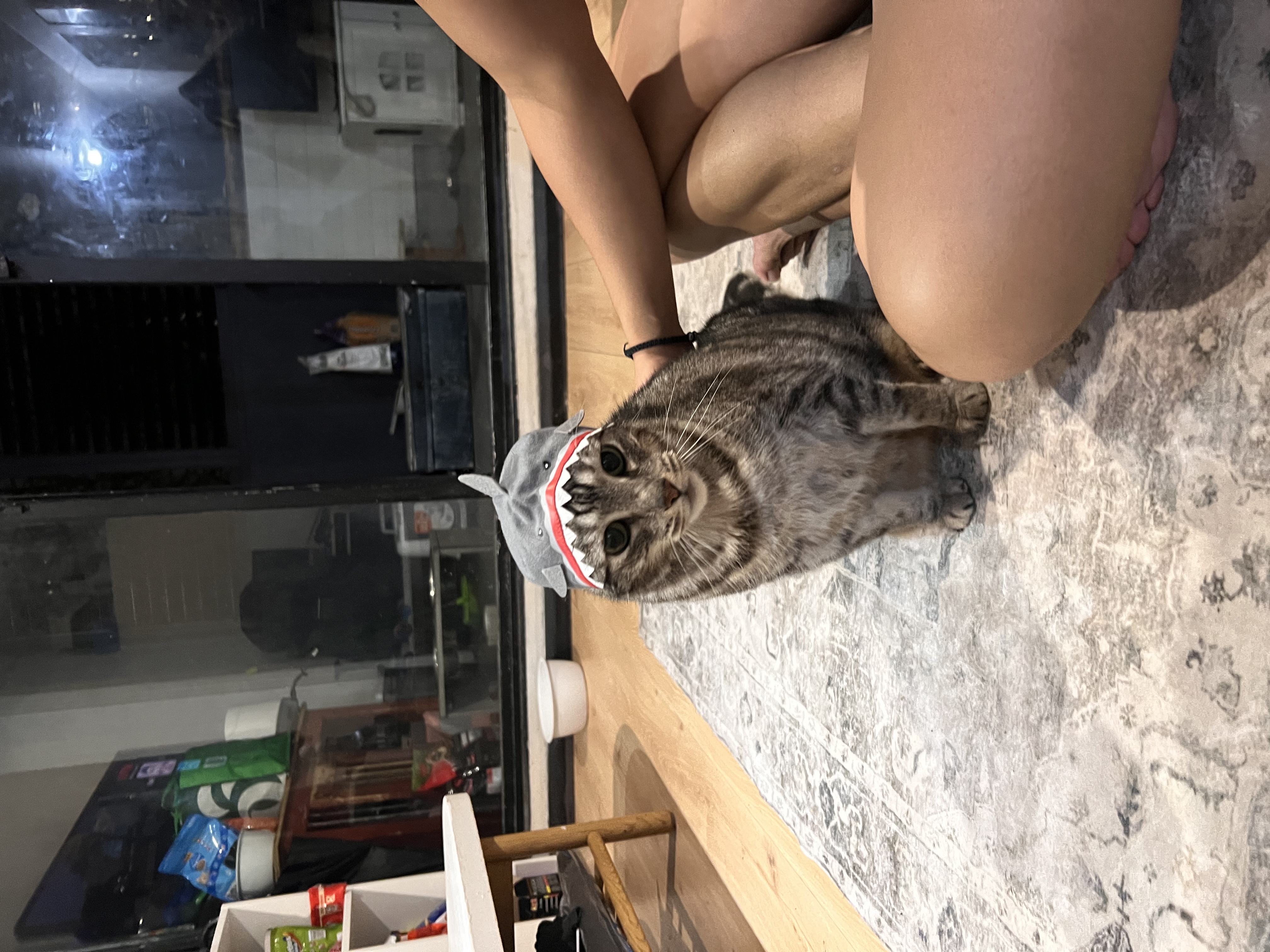 image-12