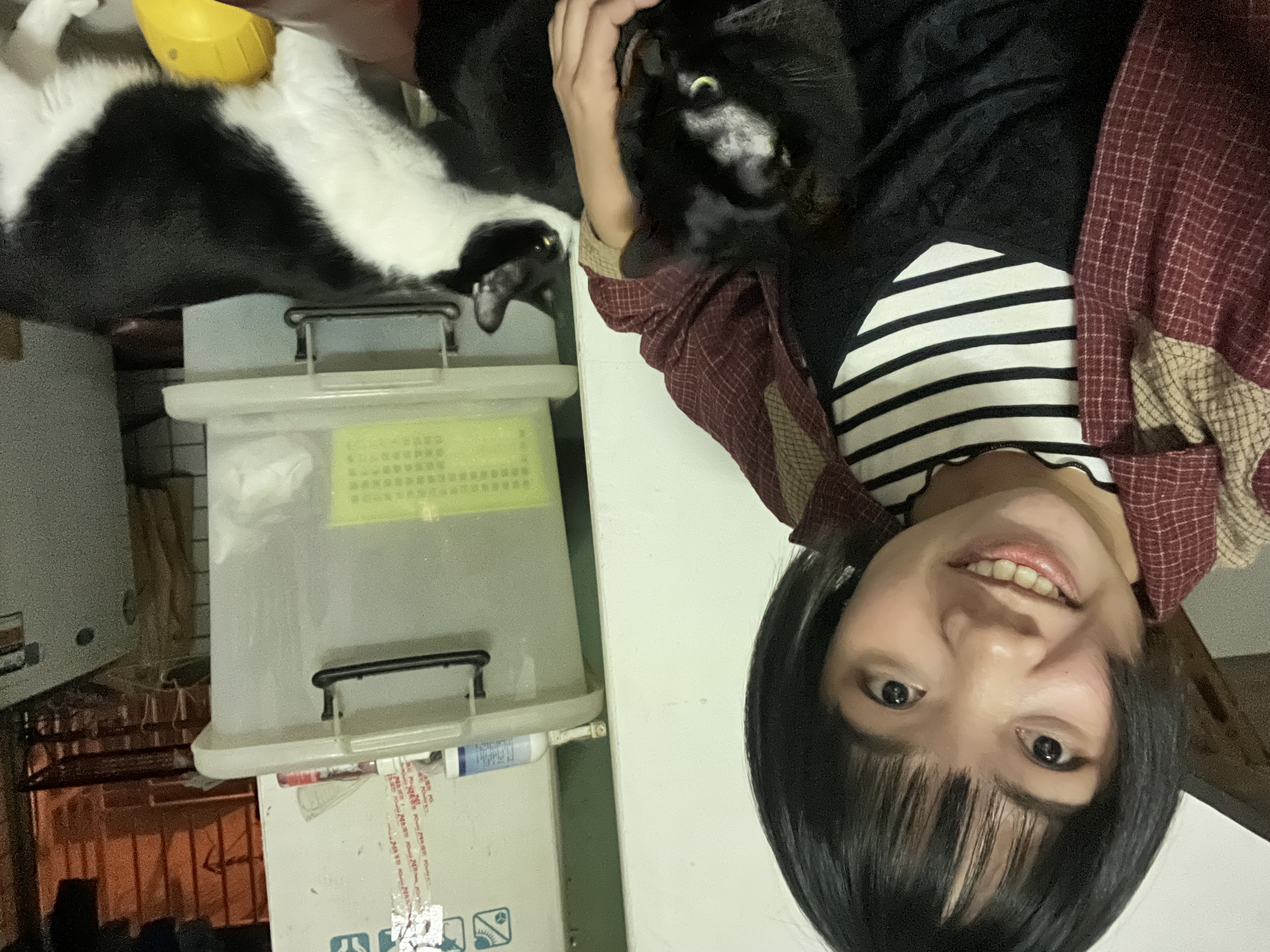 image-13