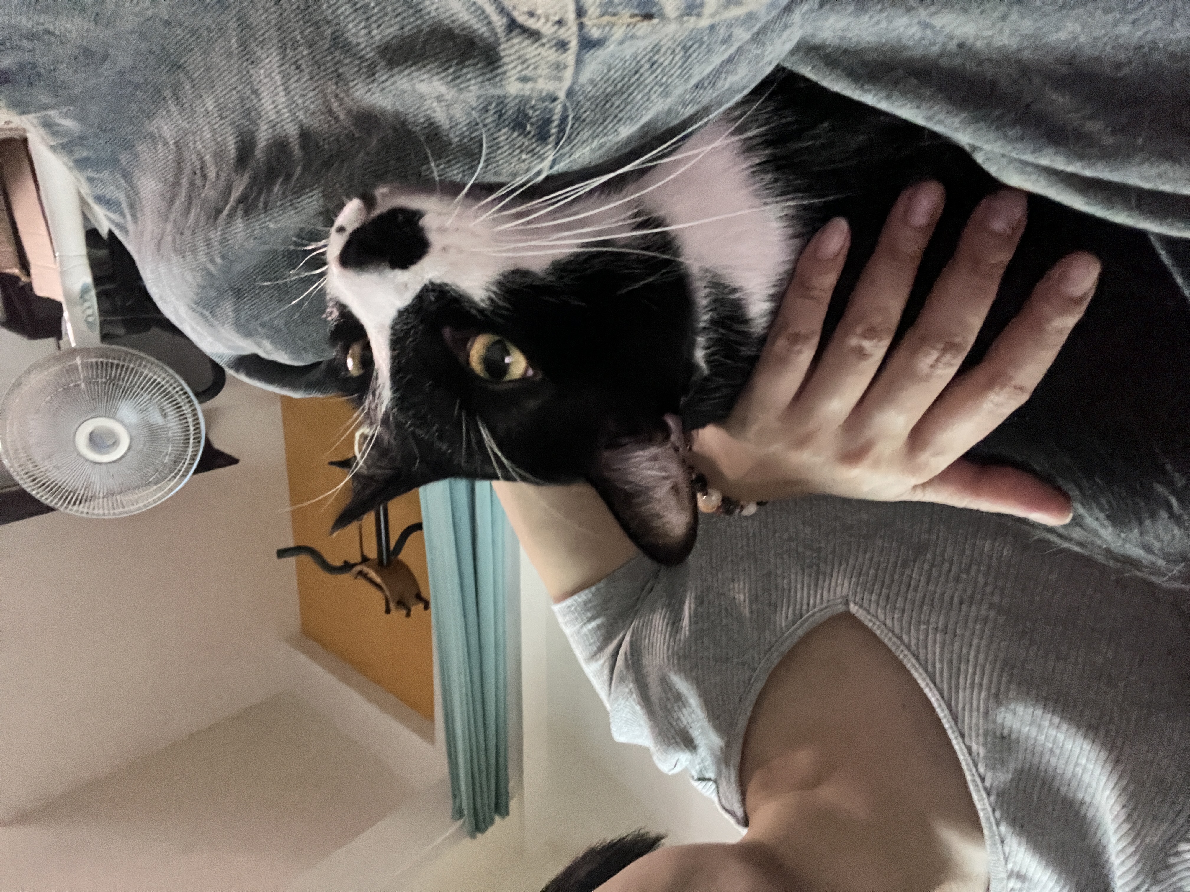 image-10
