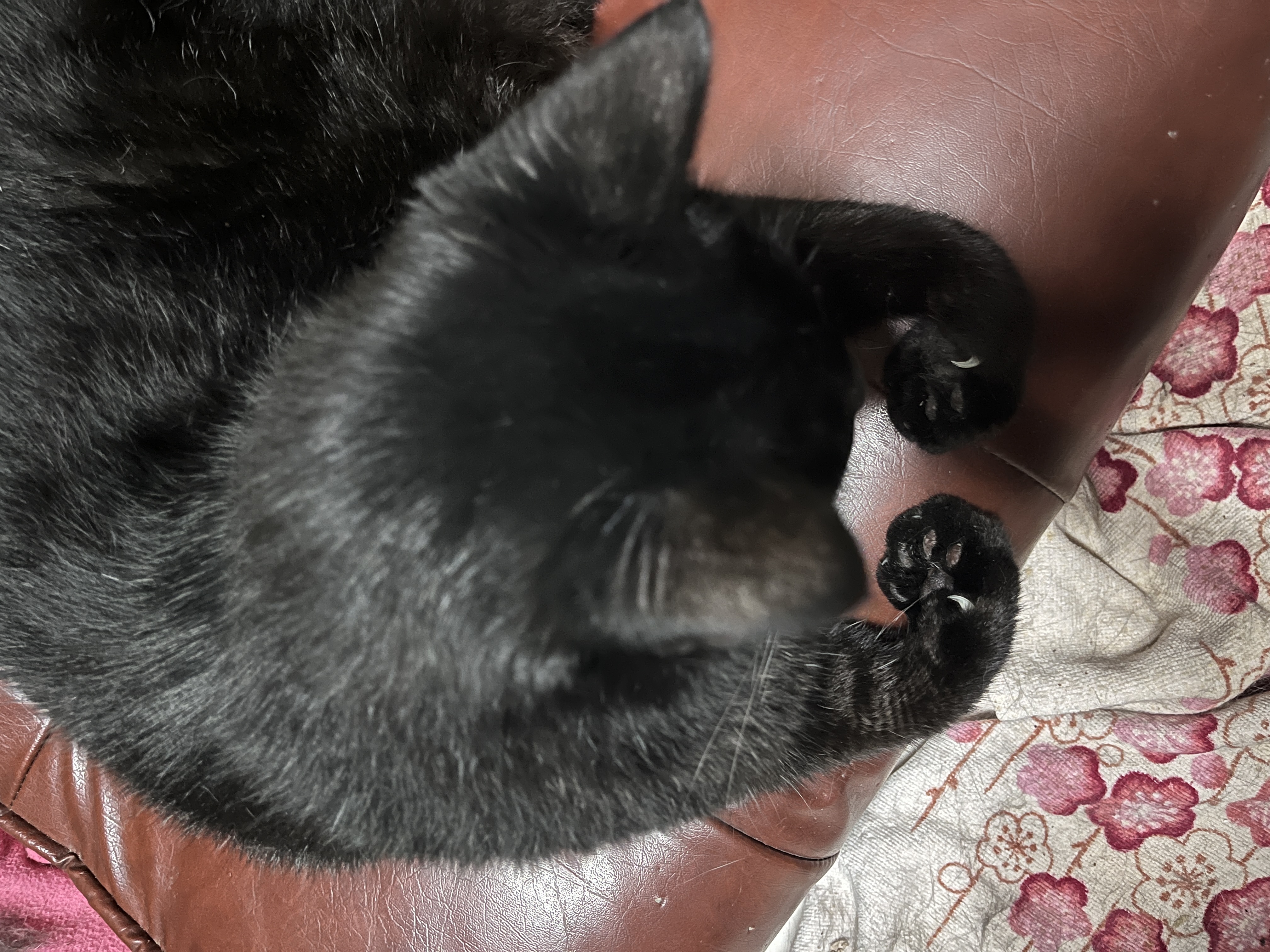 image-7