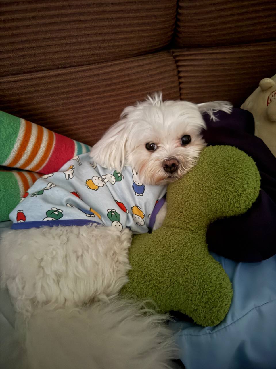 image-3