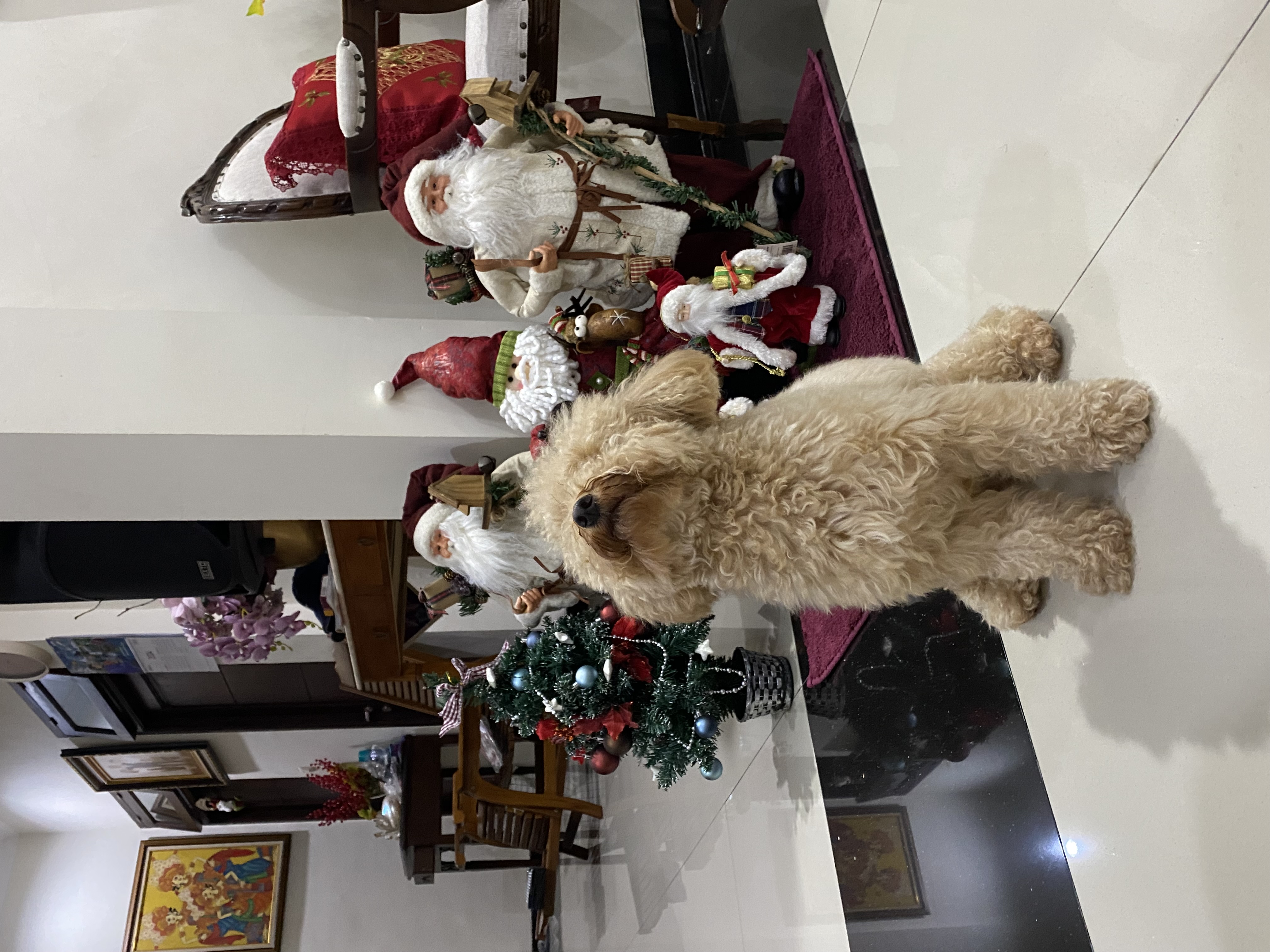 image-6