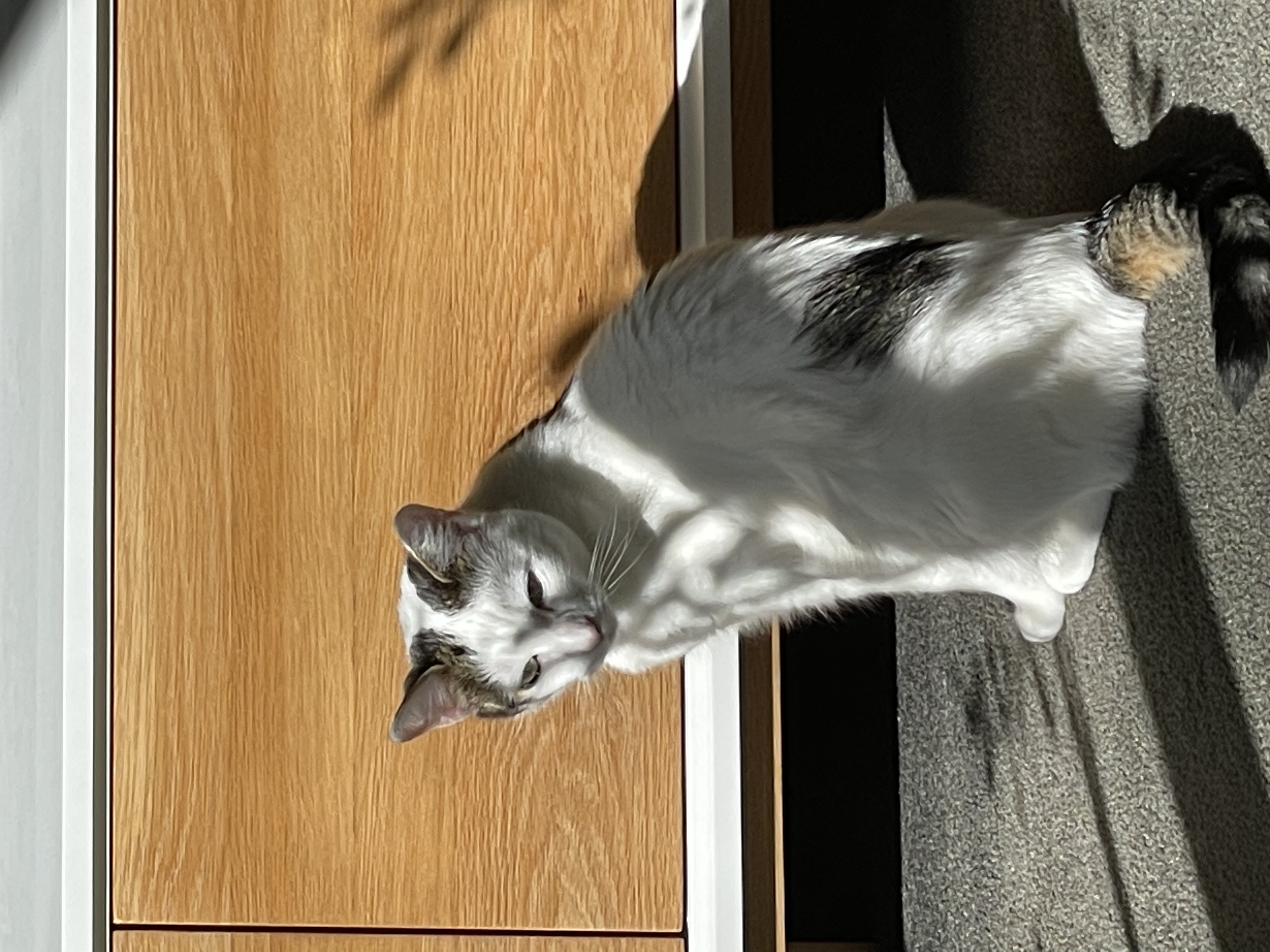 image-9