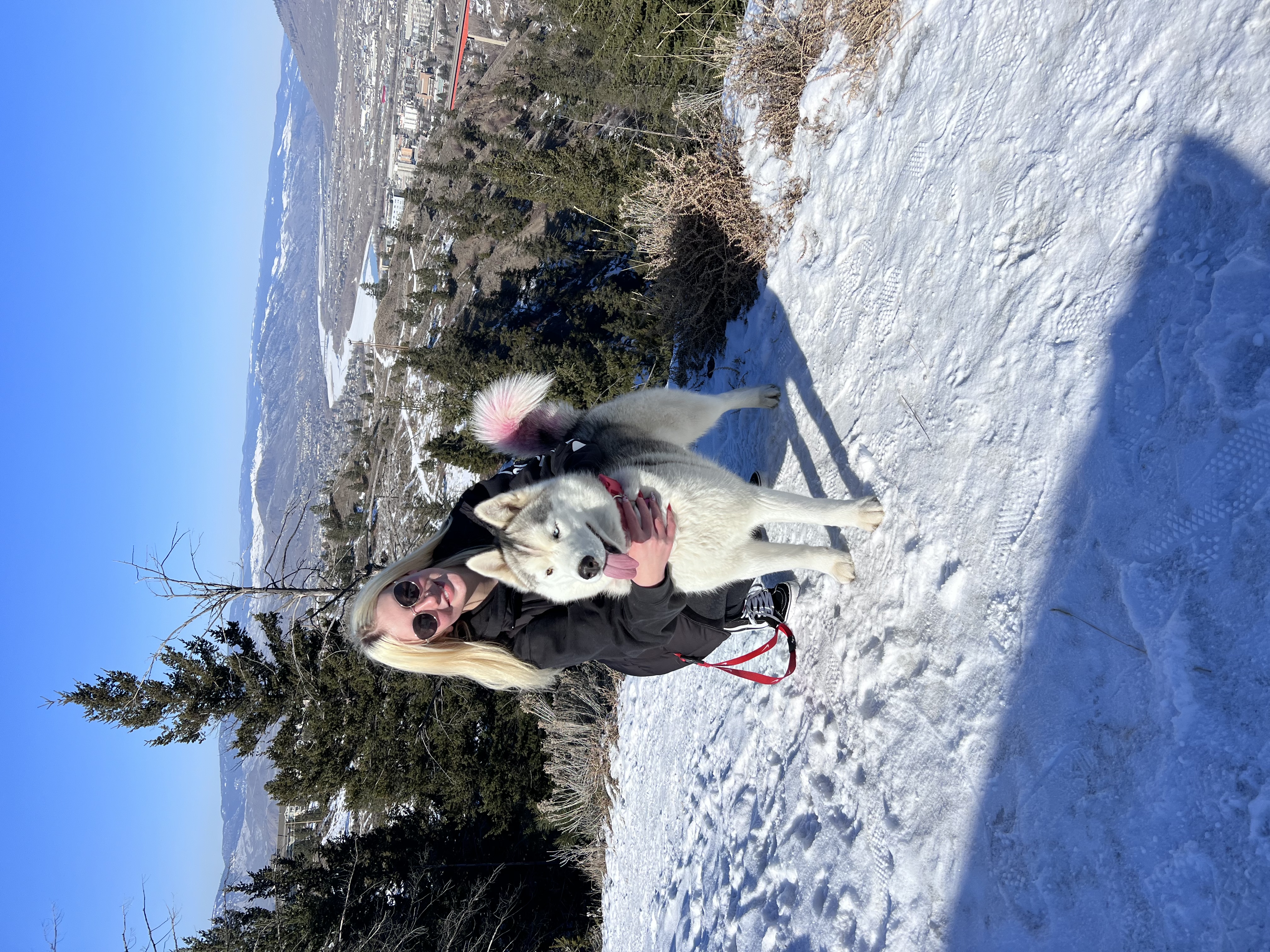 image-1