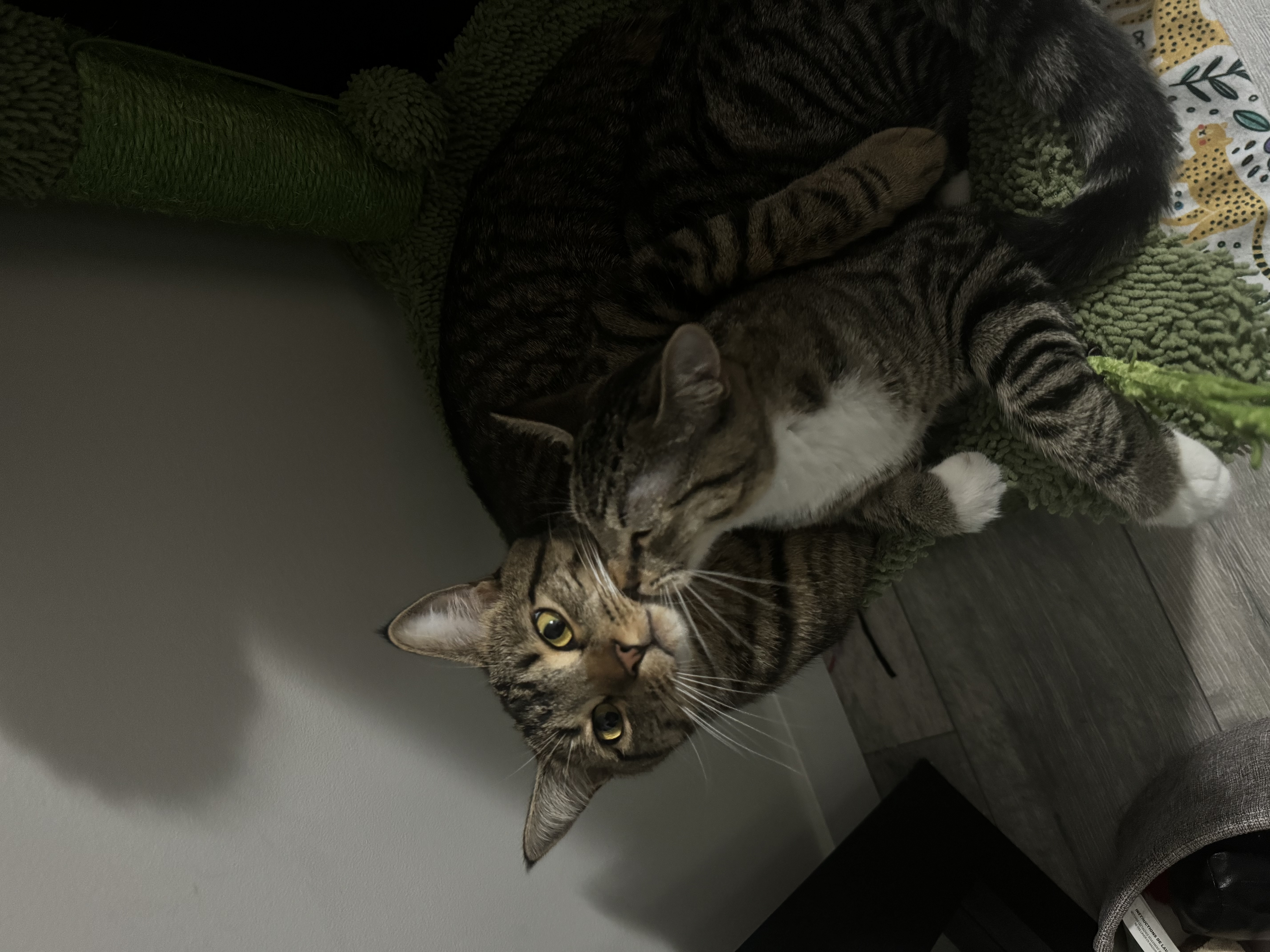 image-12