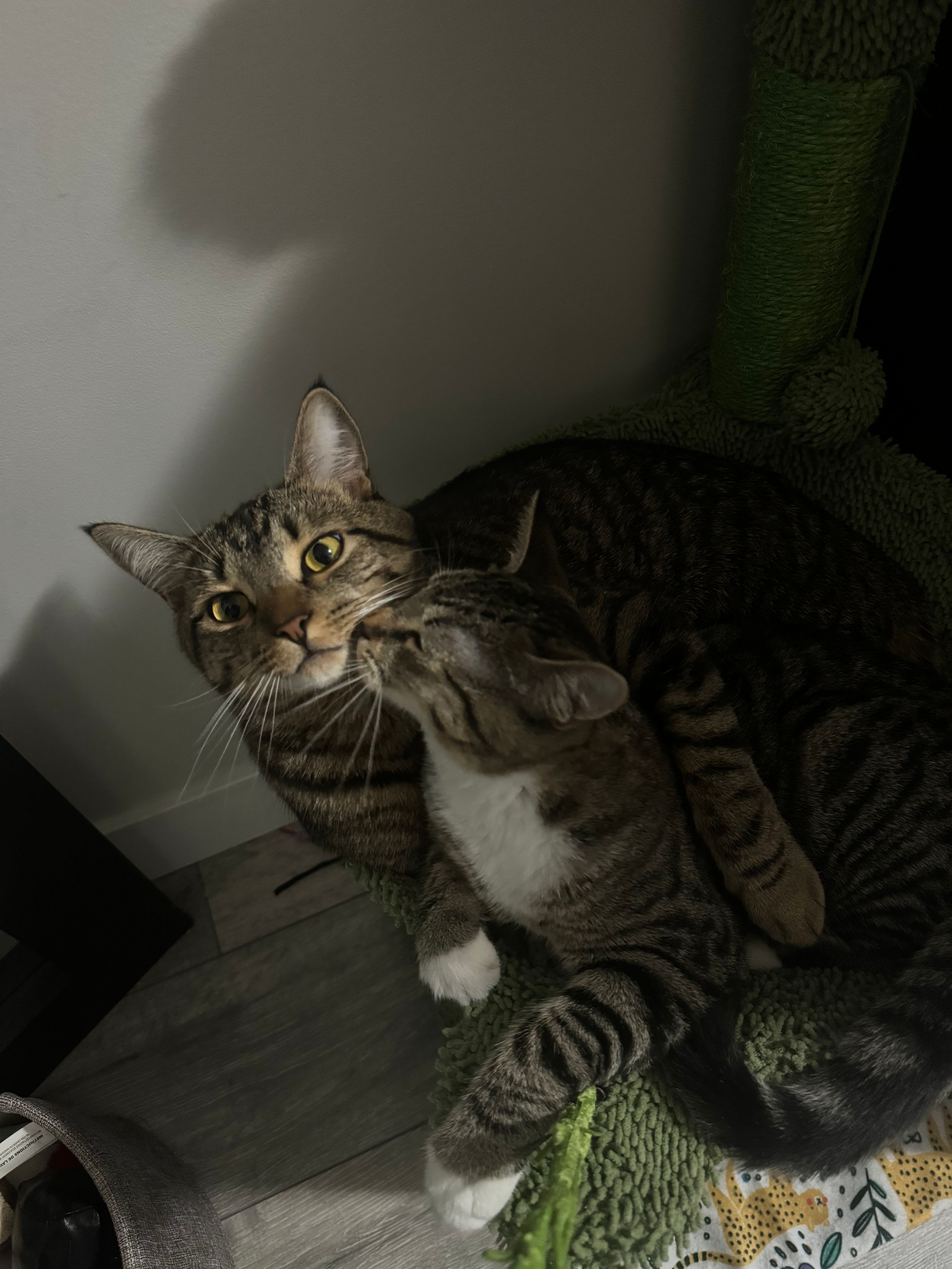 image-12