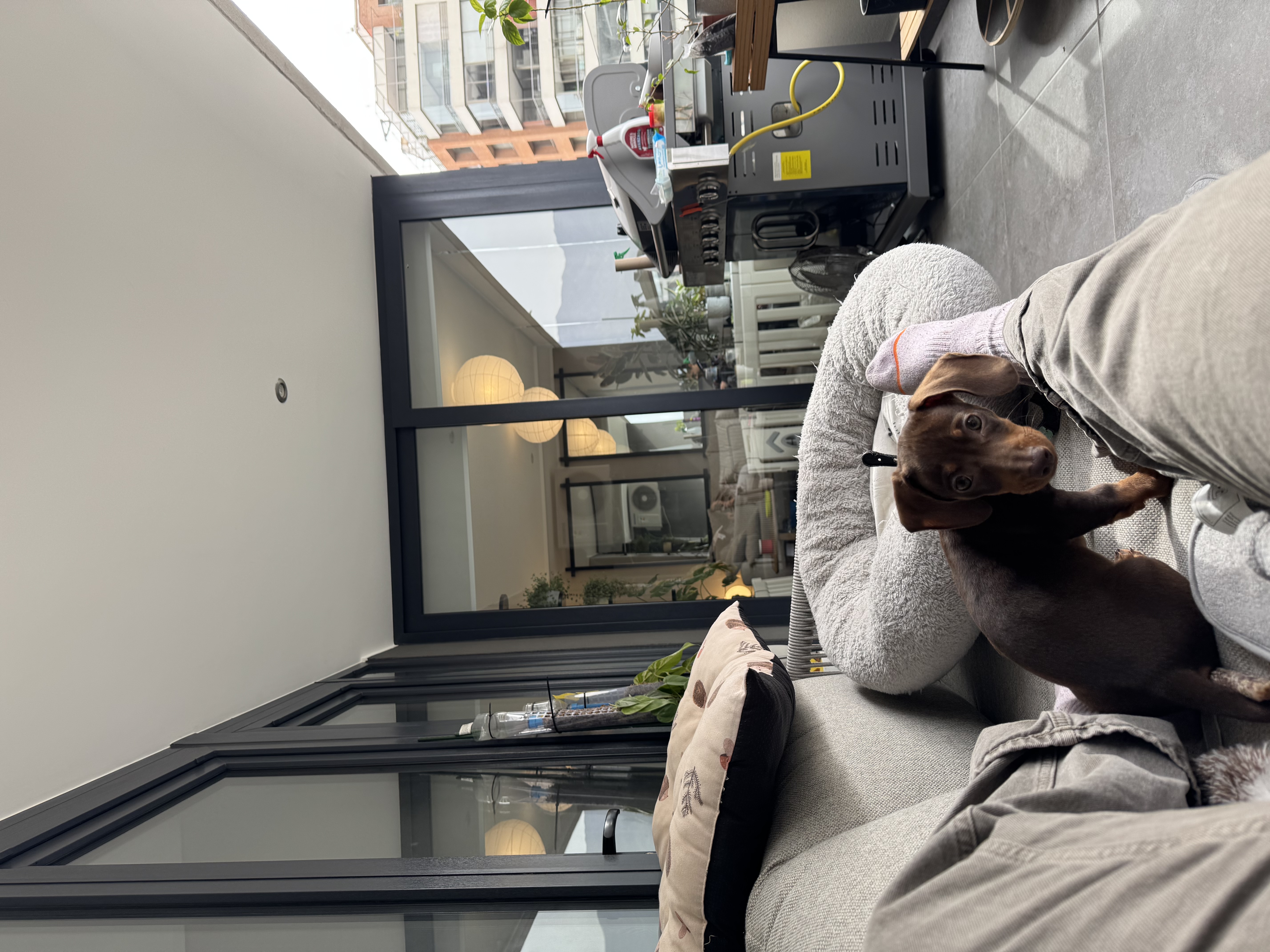 image-11