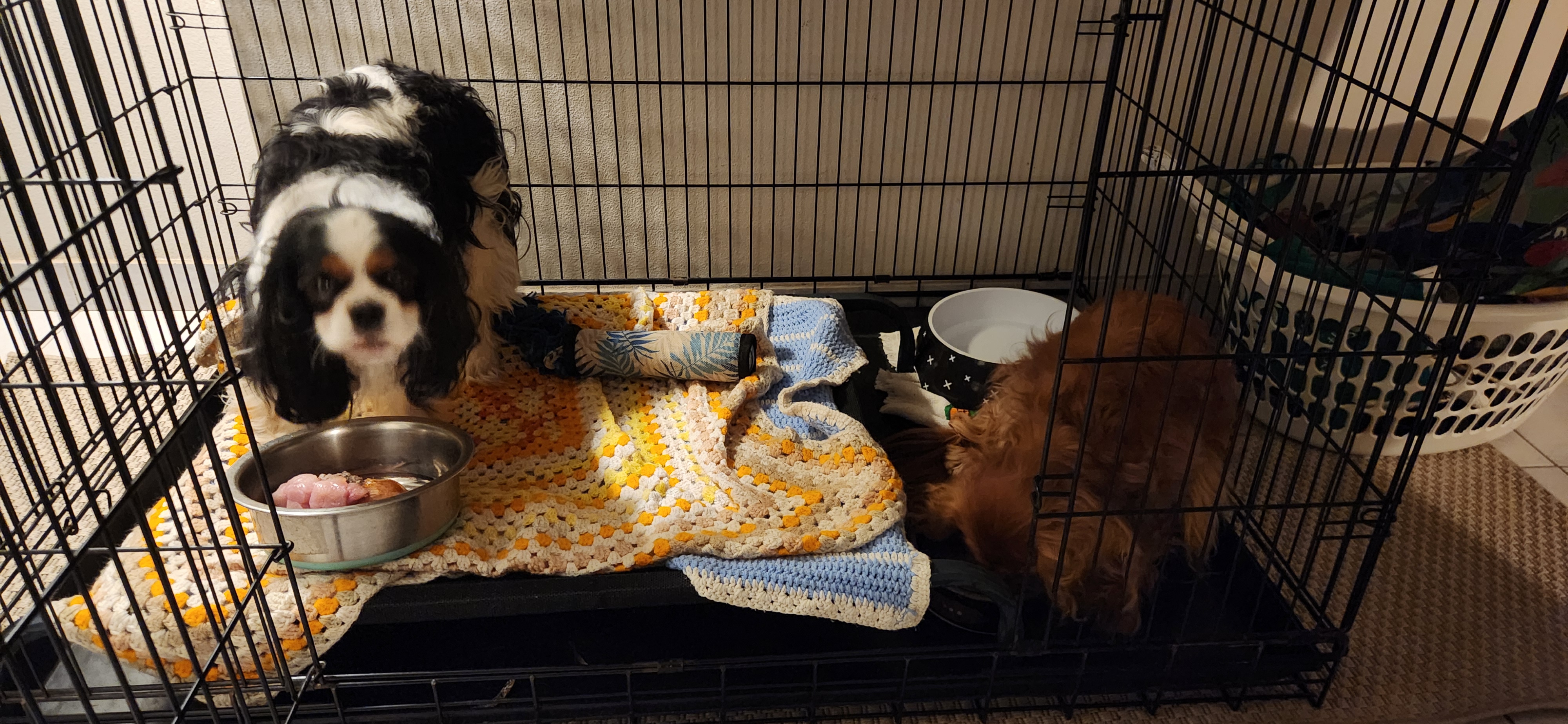 image-15