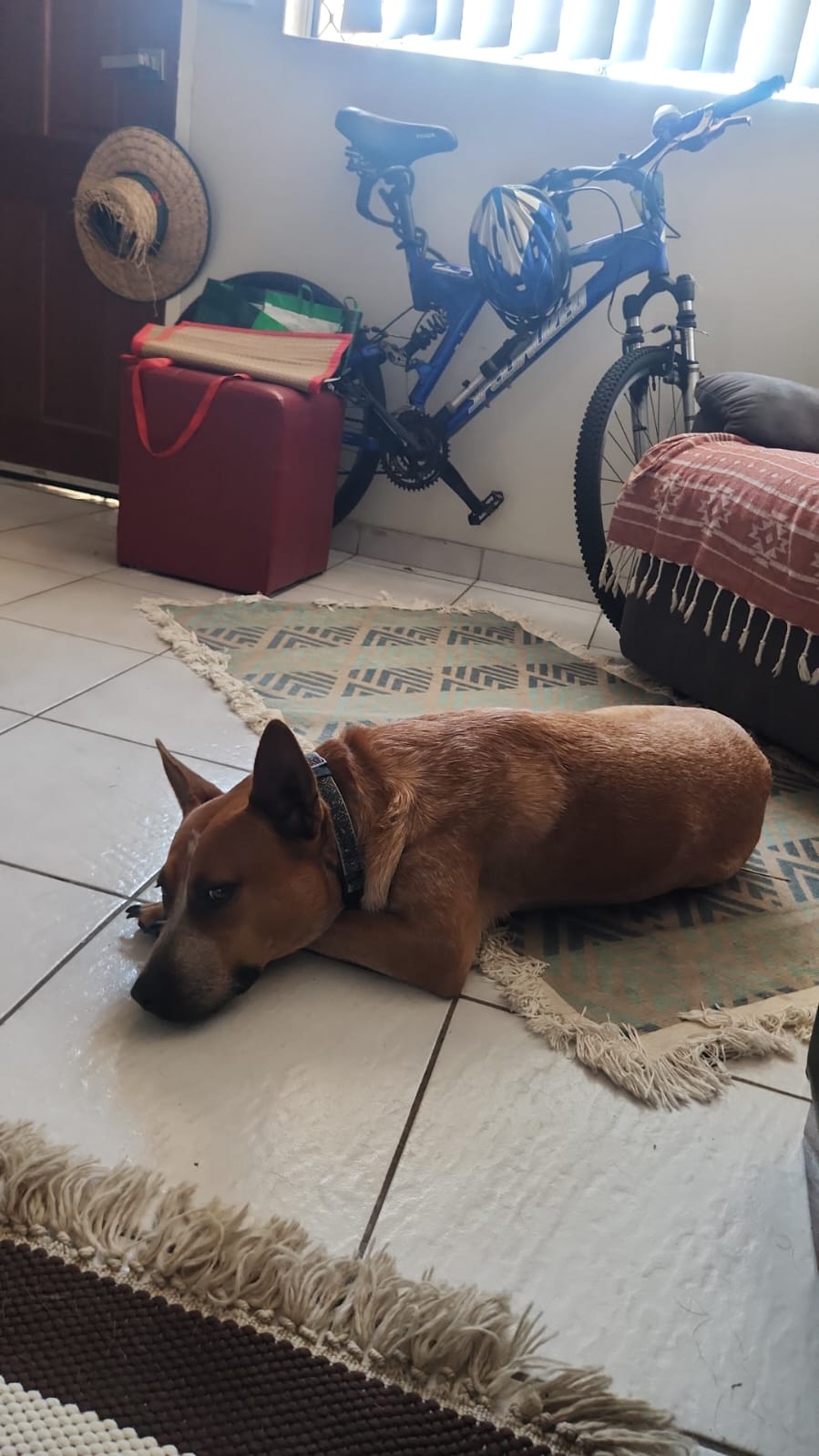 image-12