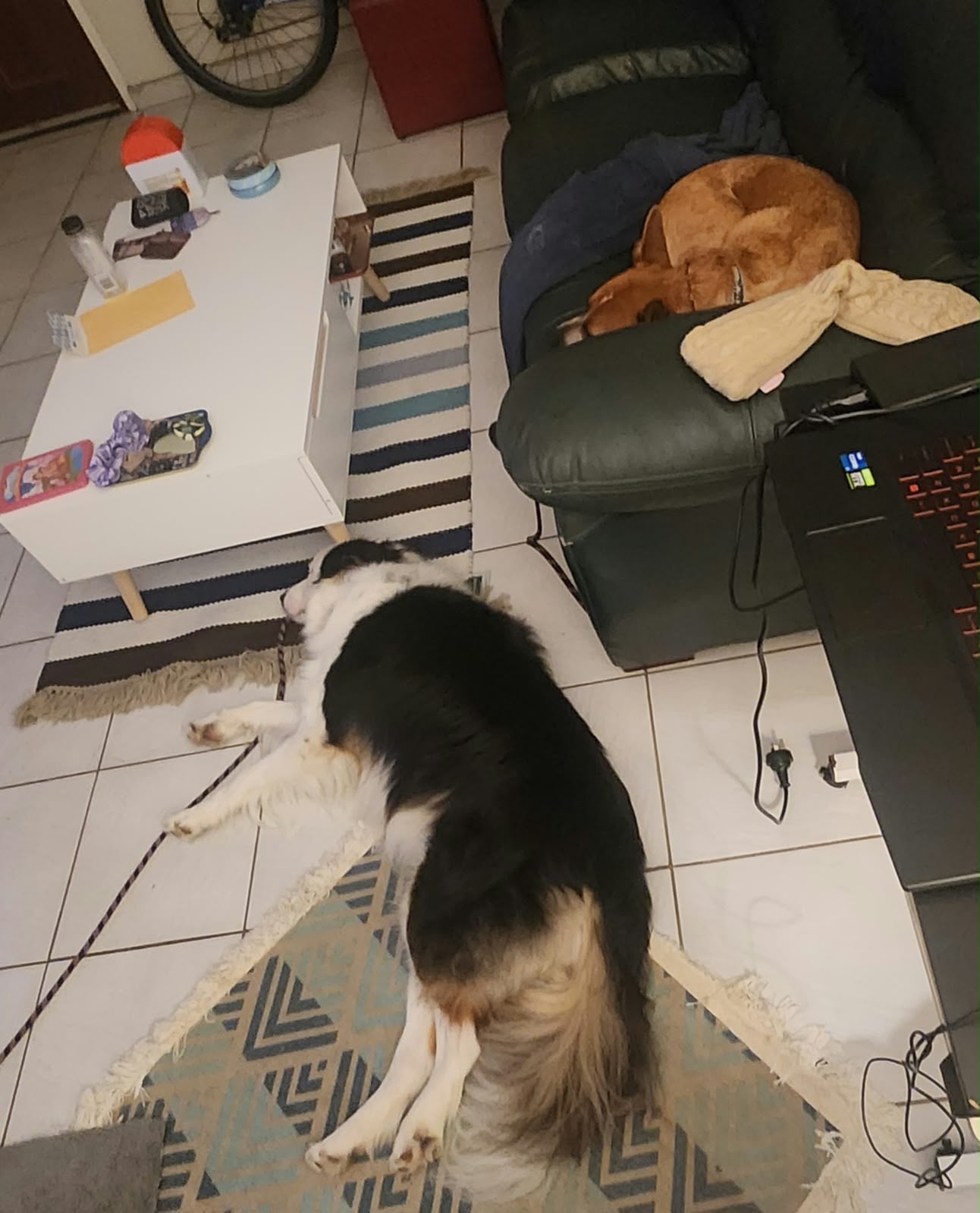 image-10