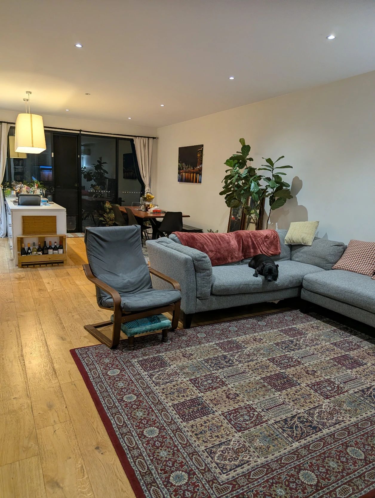 image-19