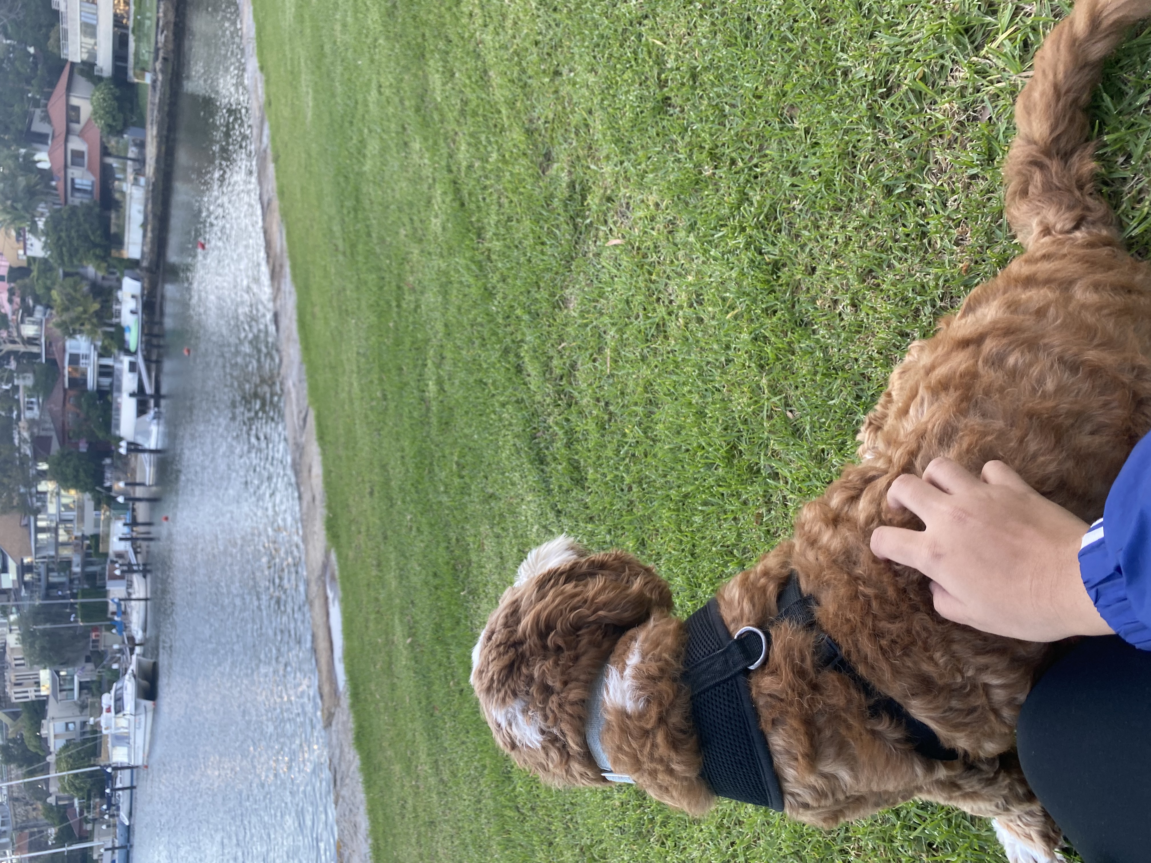 image-5