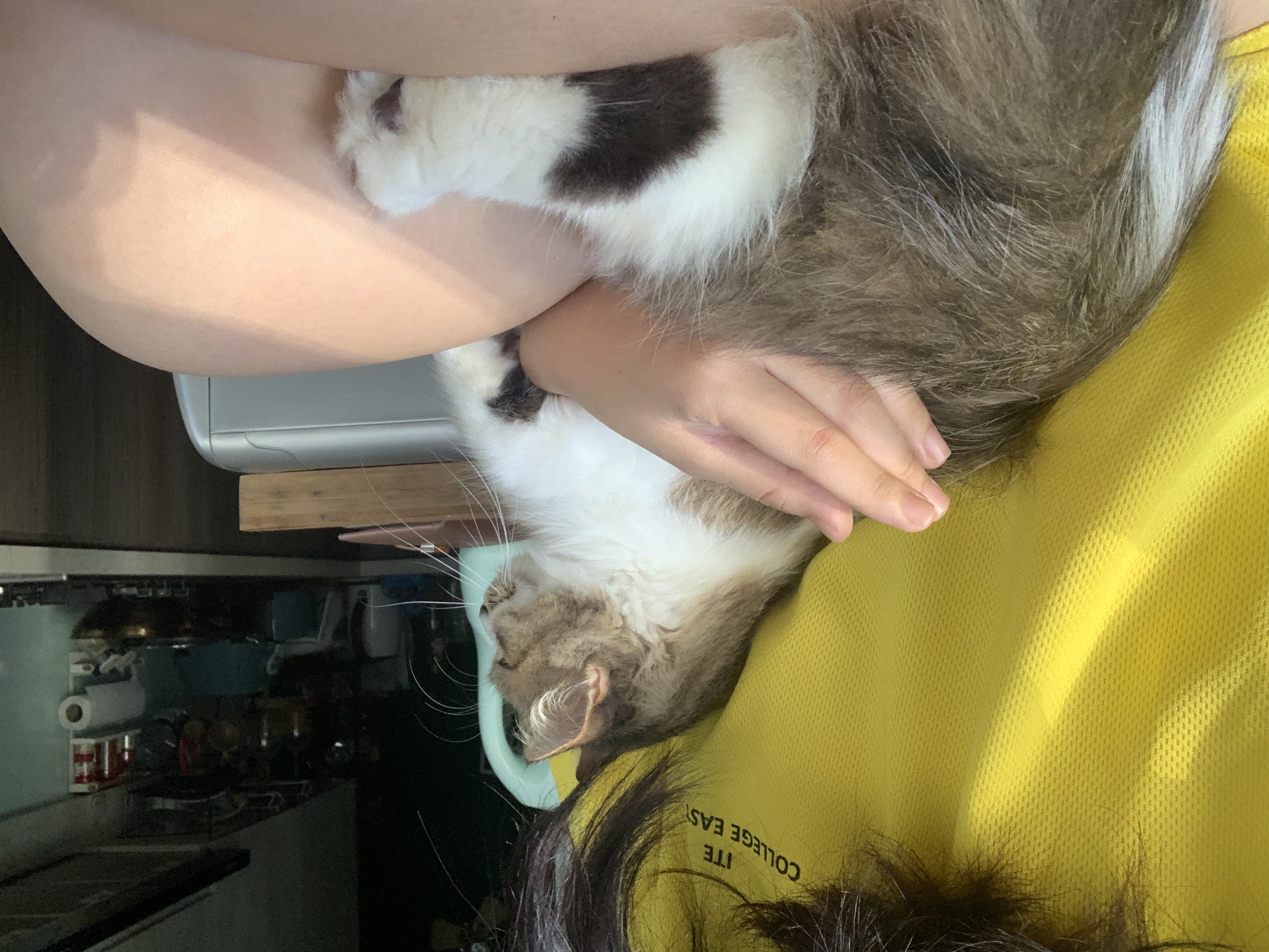 image-7