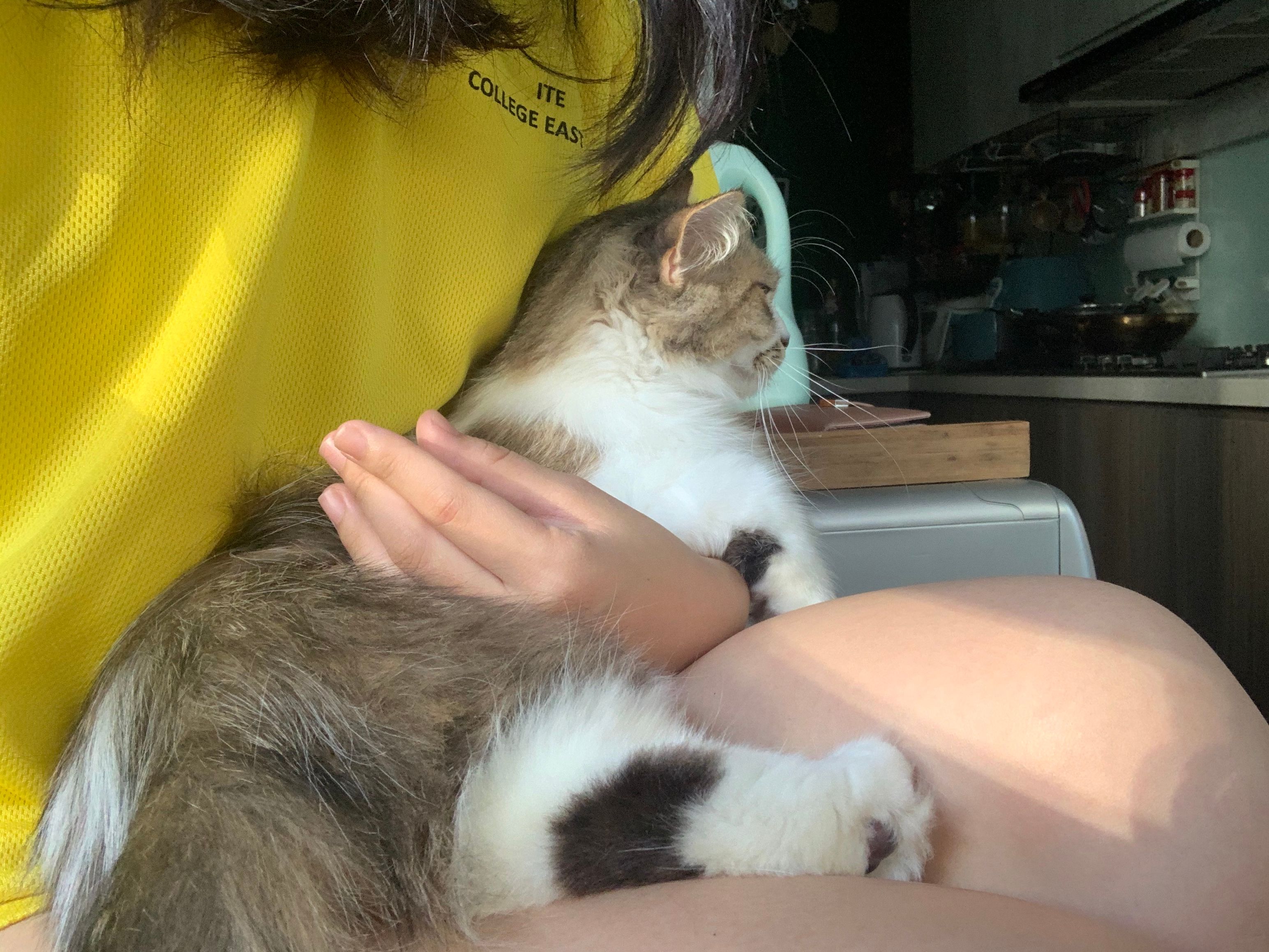 image-7