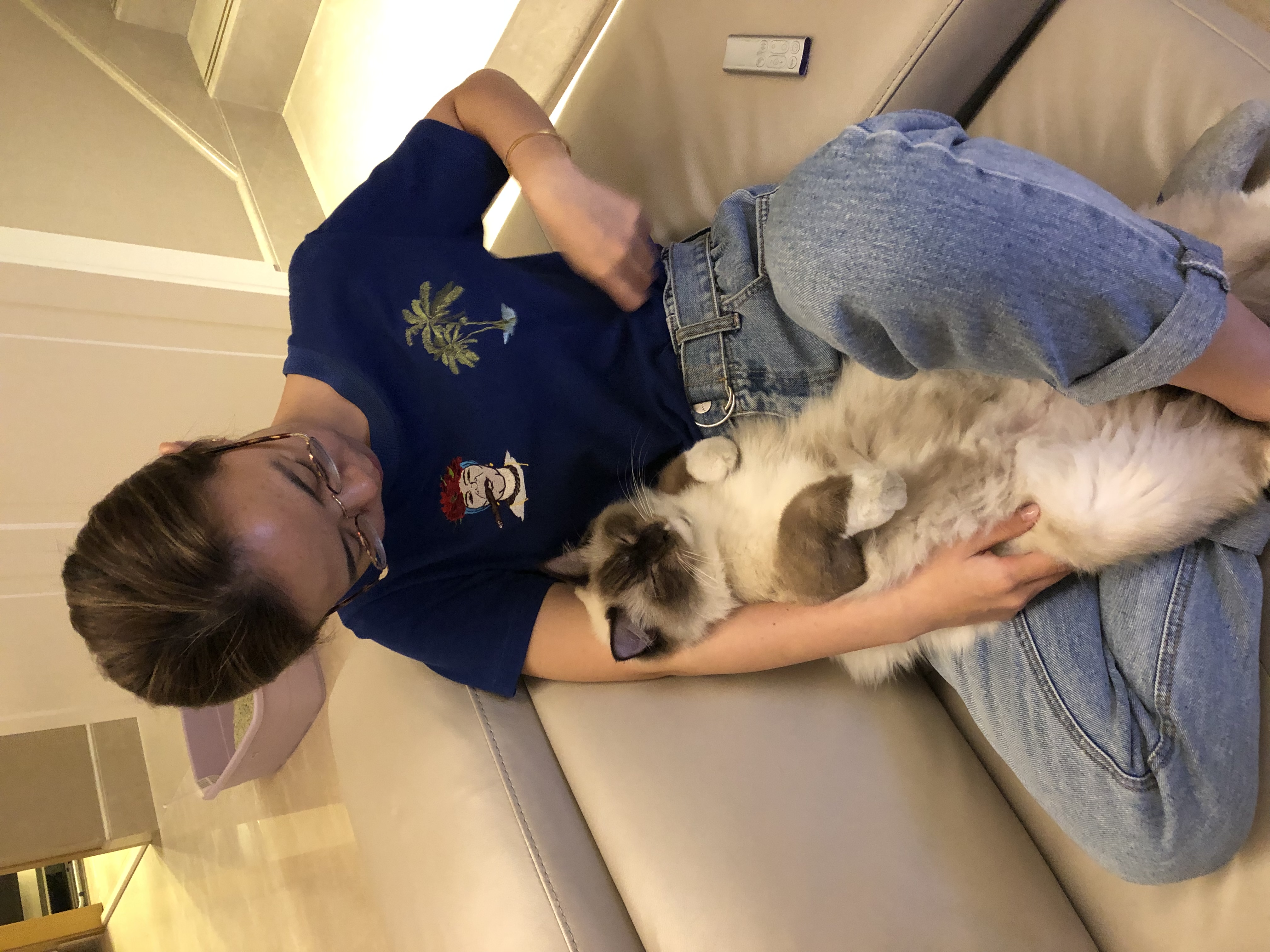 image-6