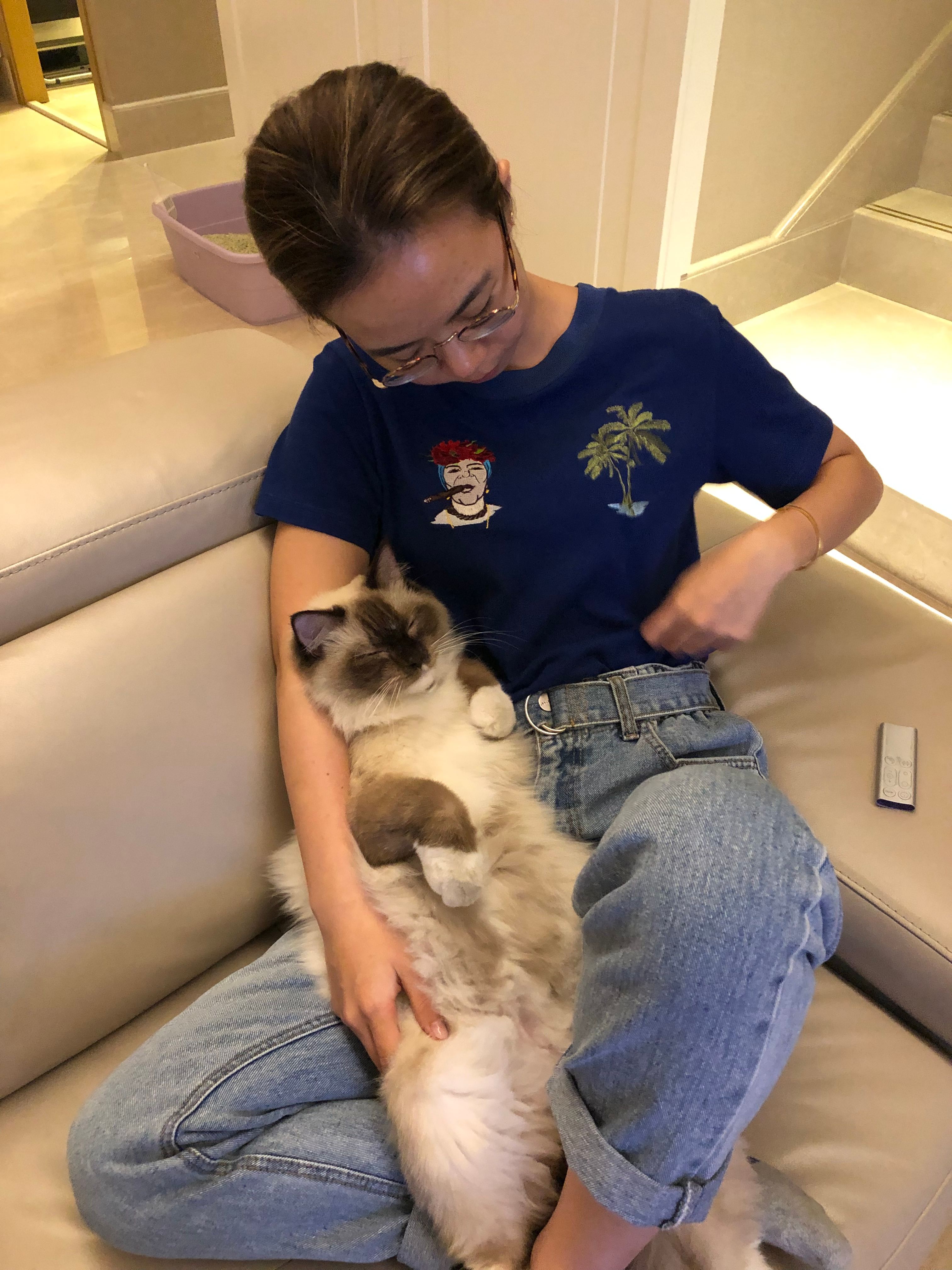 image-6