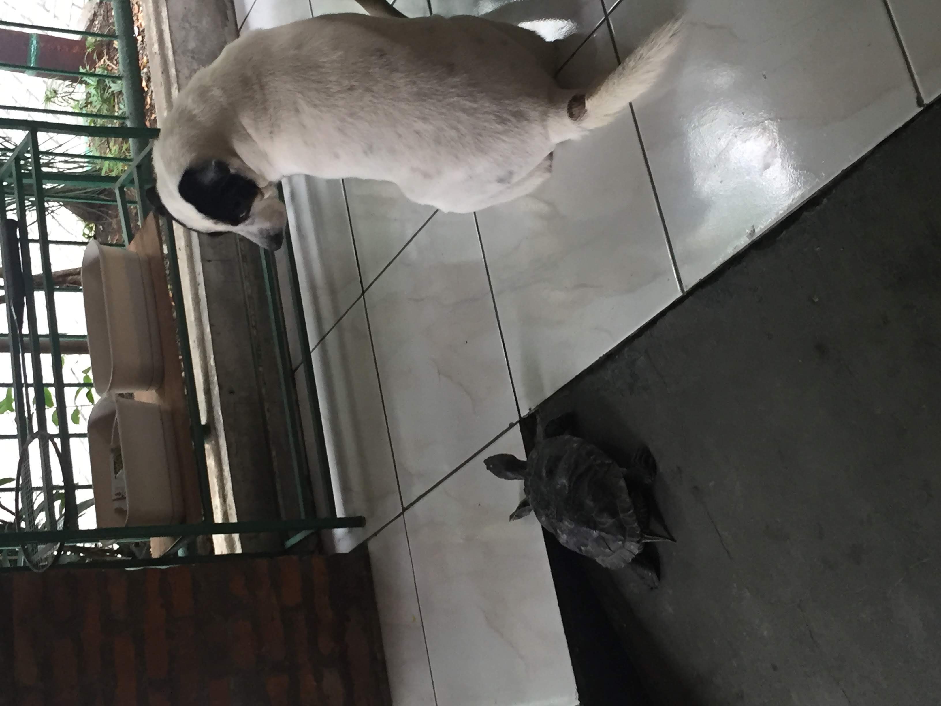 image-8