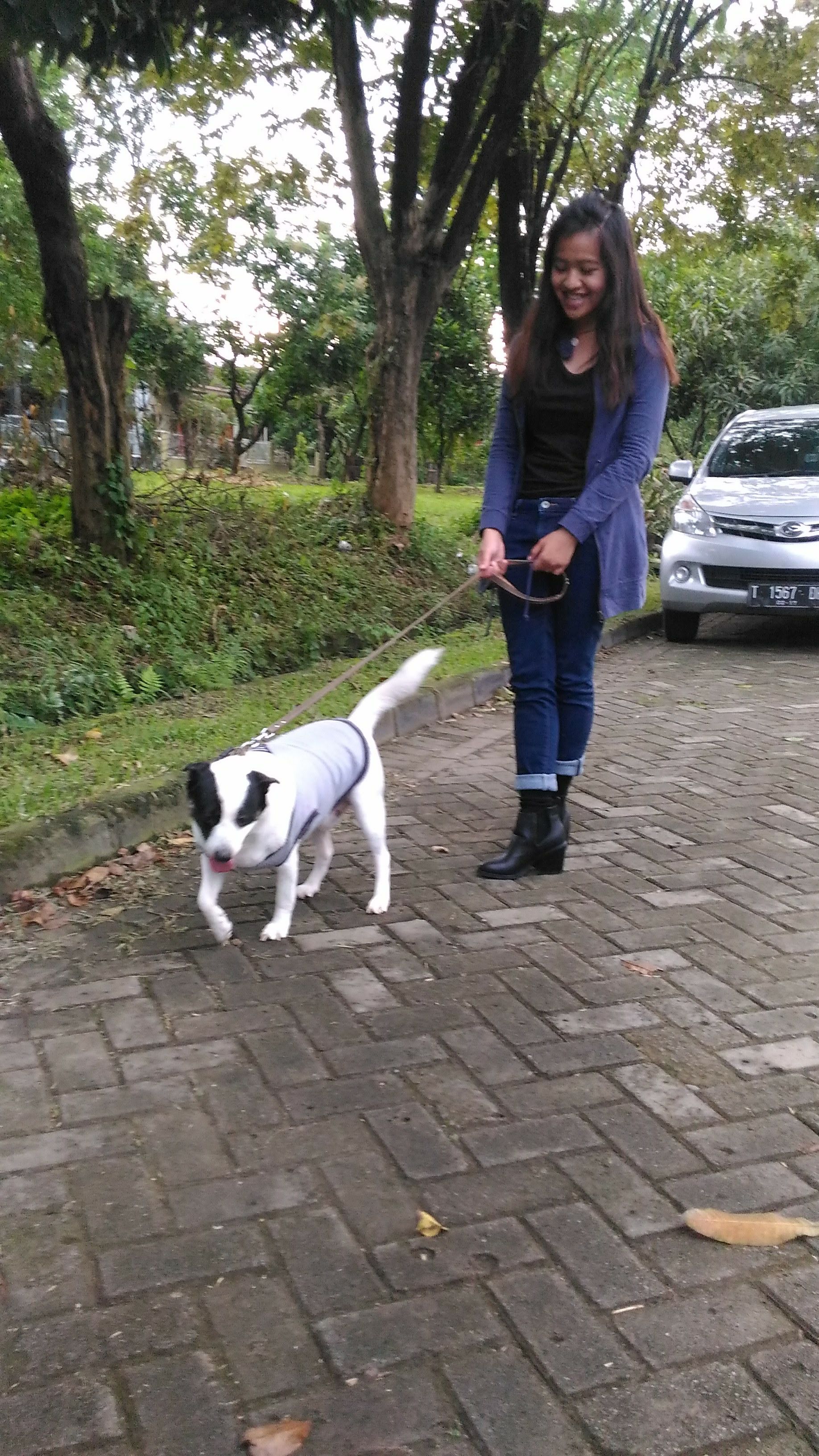 image-5