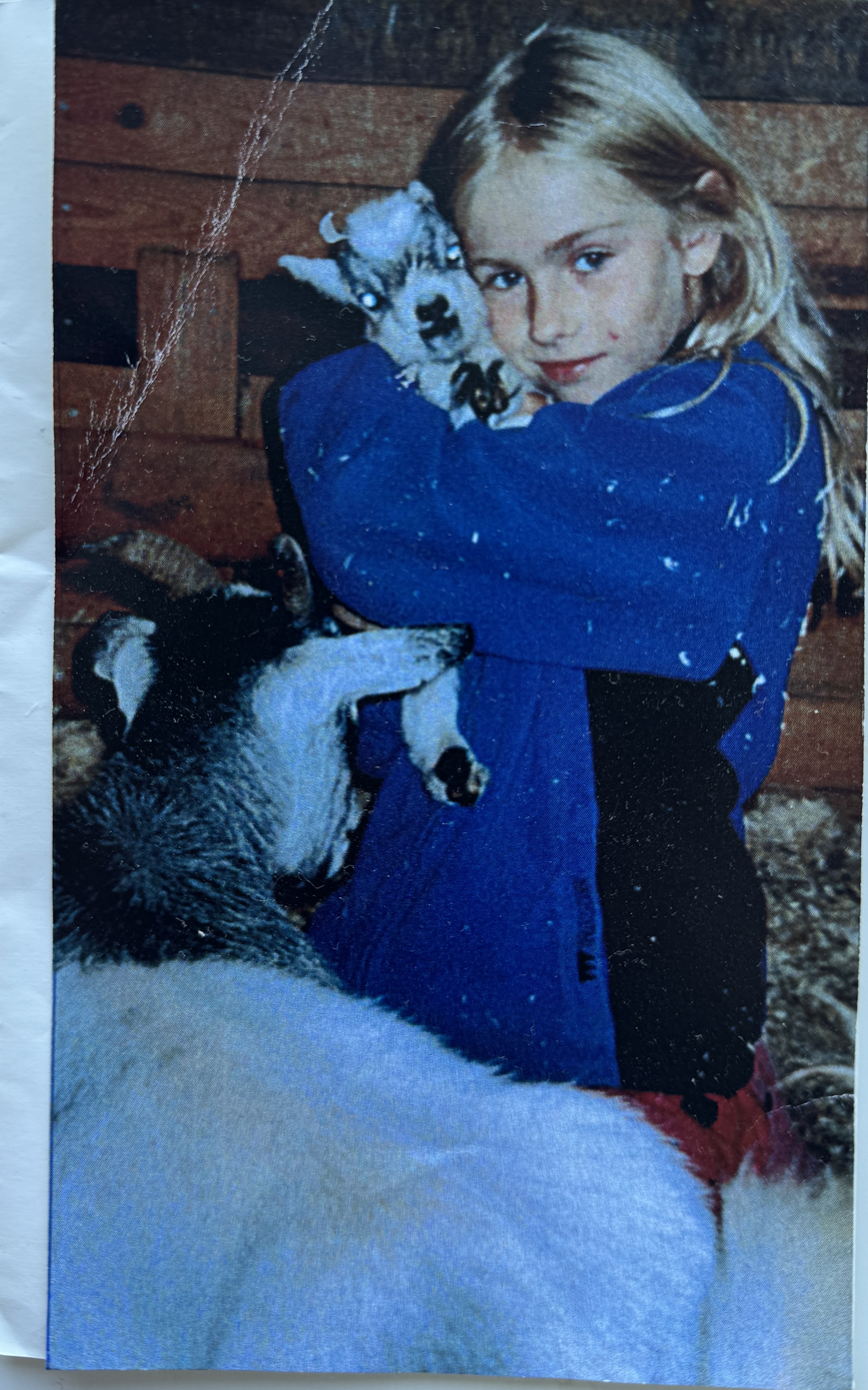 image-8