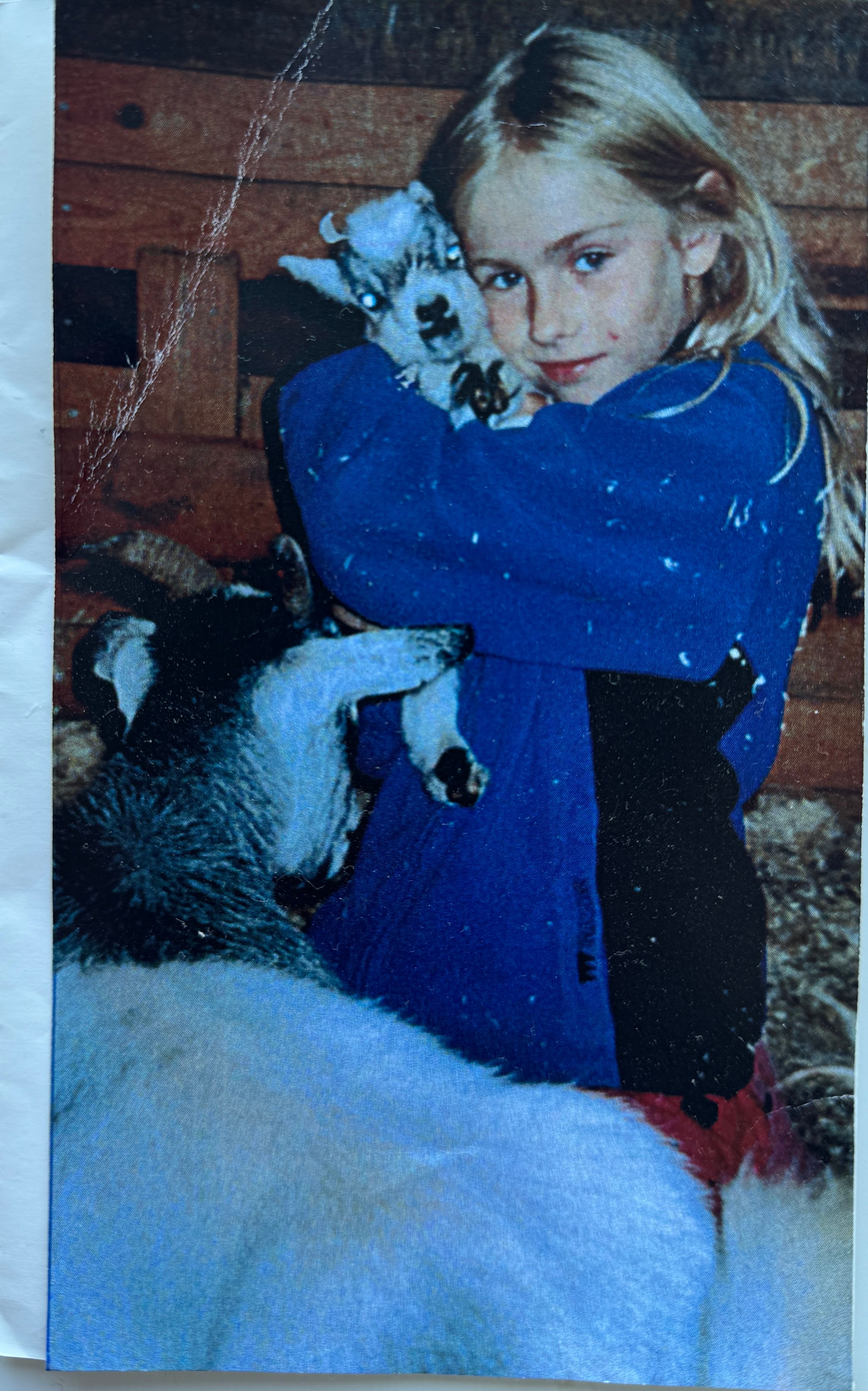image-8